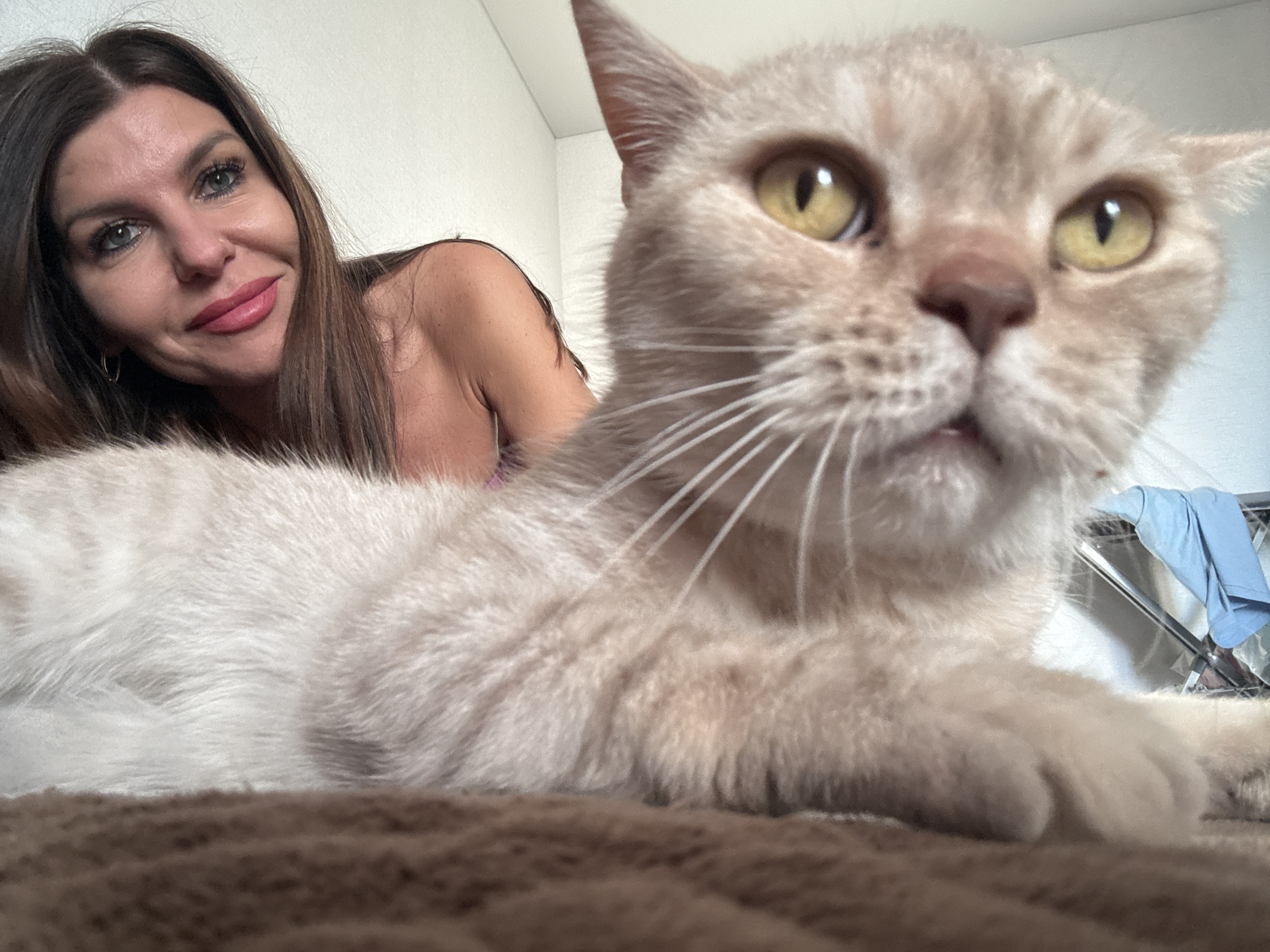 This close-up indoor shot, taken in Chaikovsky, Russia, features a woman and her cat in a casual setting. In the foreground, a light brown or cream-colored cat with bright yellow eyes and long white whiskers dominates the frame, looking directly at the camera with a curious expression. The cat is lying on a soft, brown furry surface, likely a blanket or rug.
Behind the cat and slightly to the left, a woman with long dark brown hair and blue eyes is visible, smiling warmly towards the camera. She appears to be wearing a light pink or purple top, with her bare shoulder partially visible. The photograph is taken from a low angle, creating an intimate perspective. The background is simple, showing a plain white wall and a metal rack with some light blue fabric draped over it on the right side. The natural lighting suggests it is daytime. There is no visible text in the image.