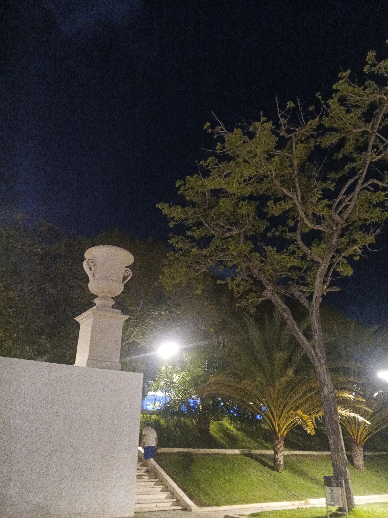 A nighttime scene in Caracas, Venezuela, features a white urn on a pedestal to the left, with a large tree with green foliage to the right. The foreground includes a white wall and a set of stairs where a person in a light-colored shirt and blue shorts is walking upwards. Behind the stairs, palm trees are visible, illuminated by ambient light. The sky is dark, indicating it is nighttime.