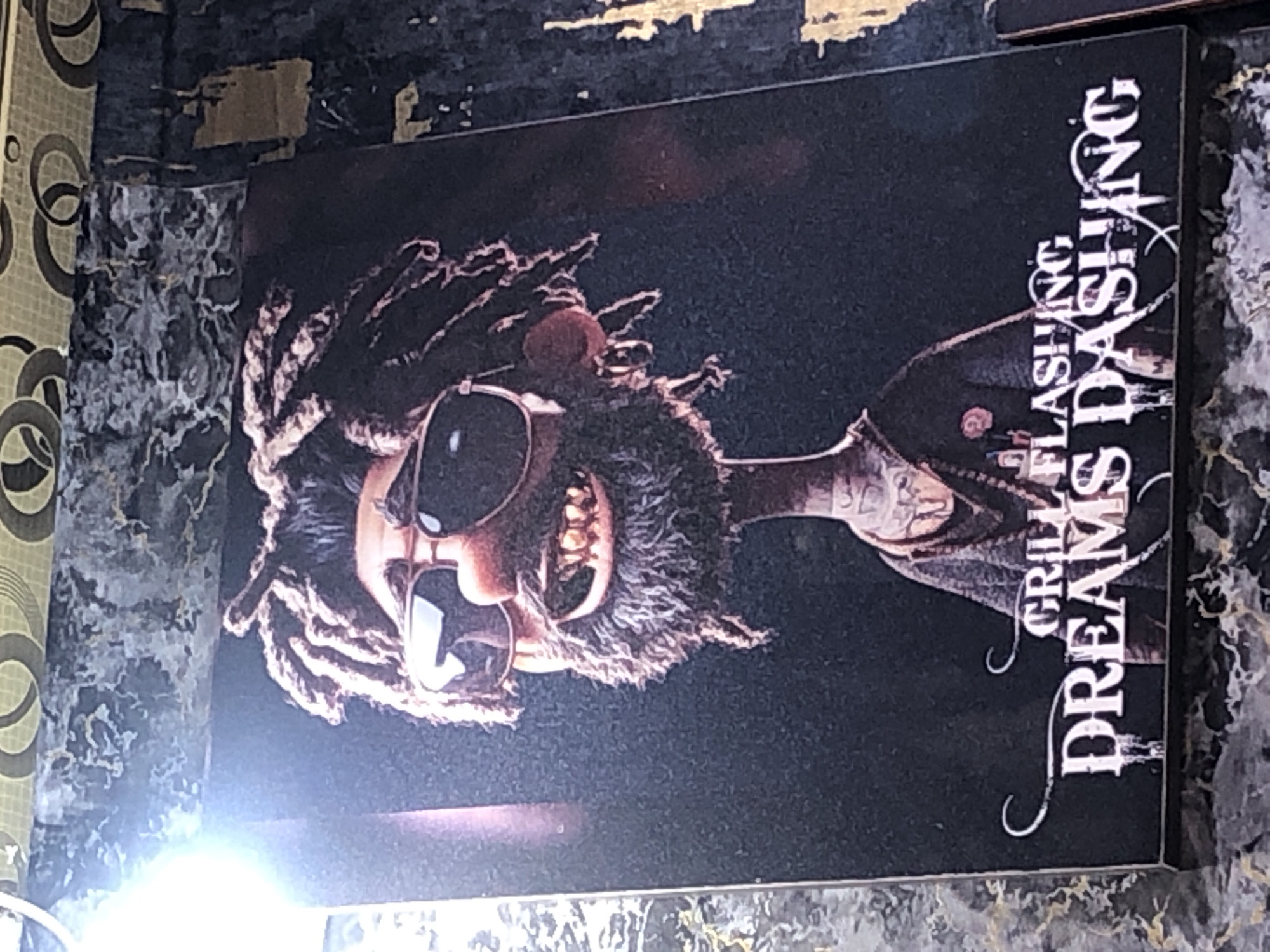 A digital illustration of a cartoon character with dreadlocks and a beard wears sunglasses and a necklace. The character has gold teeth. The text "GRILL FLASHING DREAMS DASHING" is visible at the bottom of the illustration. The illustration is displayed on a wall with a textured, dark background. The image is illuminated by a bright light source on the left side. The scene appears to be indoors, possibly in an establishment.