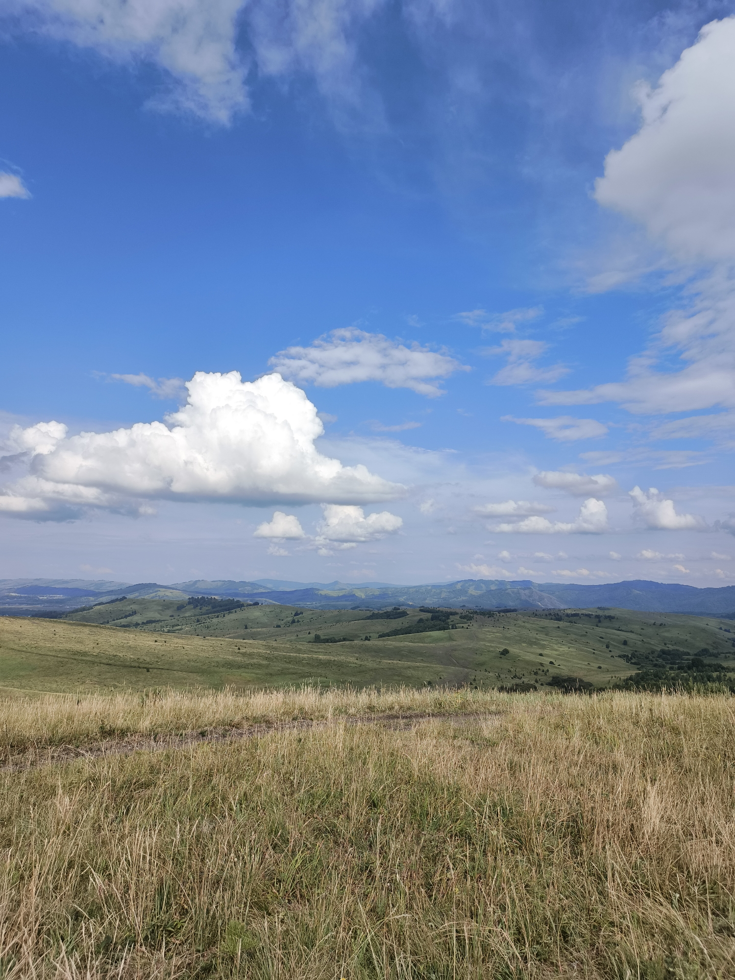 The image depicts a vast, rolling landscape under a bright blue sky dotted with white clouds. The foreground is dominated by dry, golden grass. In the mid-ground, gentle green hills stretch into the distance, interspersed with patches of trees and some faint signs of human habitation or roads. The background features more distant, hazy blue hills, suggesting a wide, open terrain. The overall impression is one of natural, rural beauty on a clear day. The location is stated to be in the city of Катунь, Russia.