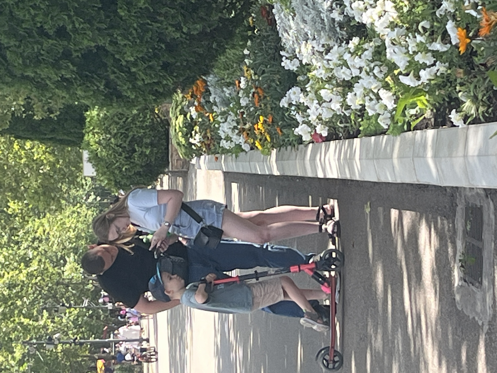 This image depicts a family scene in an urban park, likely in Krasnodar, Russia, given the provided context of the city. The foreground features a young boy, perhaps around 5-7 years old, wearing a blue cap, a gray t-shirt, and beige shorts, standing on a red kick scooter. He is being supervised by two adults. To his right is a woman in a light blue t-shirt and denim shorts, wearing glasses, and looking at her phone. To the boy's left is a man in a black t-shirt, also looking down, possibly at the boy or his phone. He has a black messenger bag slung across his body.
The family is standing on a paved pathway in a park. To the right of the pathway is a vibrant flowerbed with a variety of blooming flowers, including white petunias, orange marigolds, and other colorful blossoms. Behind the flowerbed is a dense, green hedge. The background reveals more greenery from trees and hints at other park-goers and possibly recreational activities in the distance, with a blurry orange umbrella visible. The sunlight casts dappled shadows on the ground, indicating a bright, sunny day. The overall atmosphere is relaxed and leisurely, suggesting a family enjoying a day outdoors in a city park.