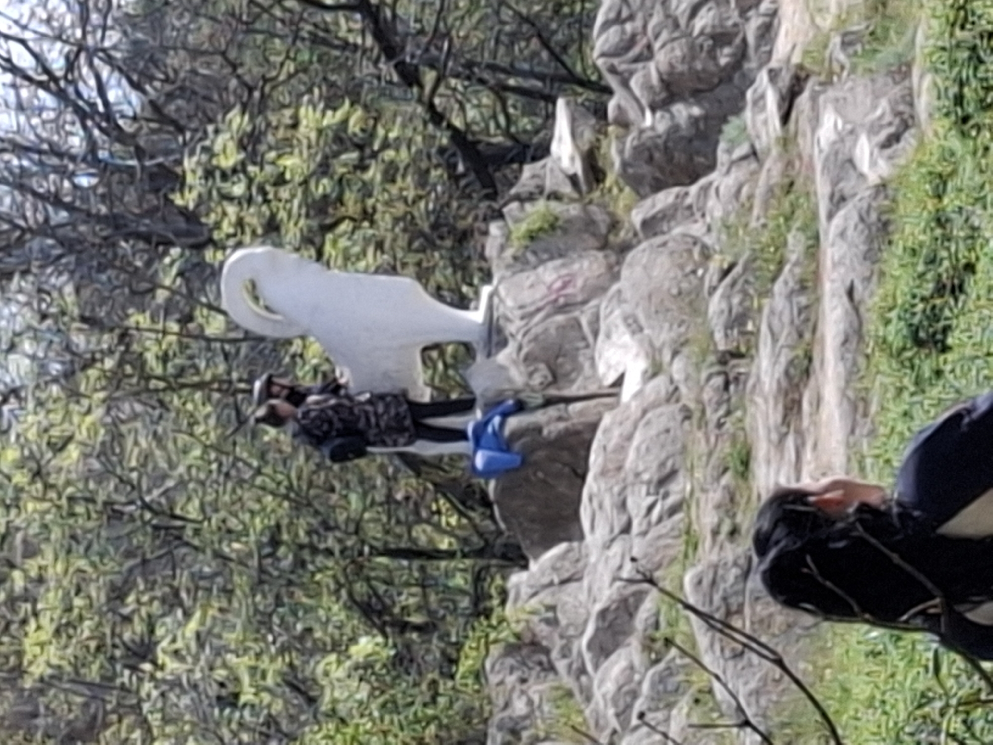 The image captures an outdoor scene featuring a large, white, abstract sculpture set amidst a rocky, vegetated landscape, likely a hillside or park in Plovdiv, Bulgaria. The sculpture, which resembles a stylized bird with a long neck and tail, stands prominently on grey rock formations.
Two individuals are visible during what appears to be bright daylight. One person, positioned to the left of the sculpture, is dressed in a dark patterned top or jacket, light trousers, and a dark cap, with their back mostly turned to the viewer. They seem to be observing the sculpture or possibly taking a picture. A small blue object, possibly a bag, rests on the rocks nearby. A second individual is partially seen on the right side of the frame, wearing dark clothing and looking downwards or away from the scene.
The background is filled with trees showing both bare branches and green foliage, indicating either spring or early summer. The rocky terrain includes patches of green grass and some faint, indecipherable reddish markings on the rocks near the sculpture. The scene suggests a visit to a public art installation within a natural, scenic setting. No discernible text is visible.