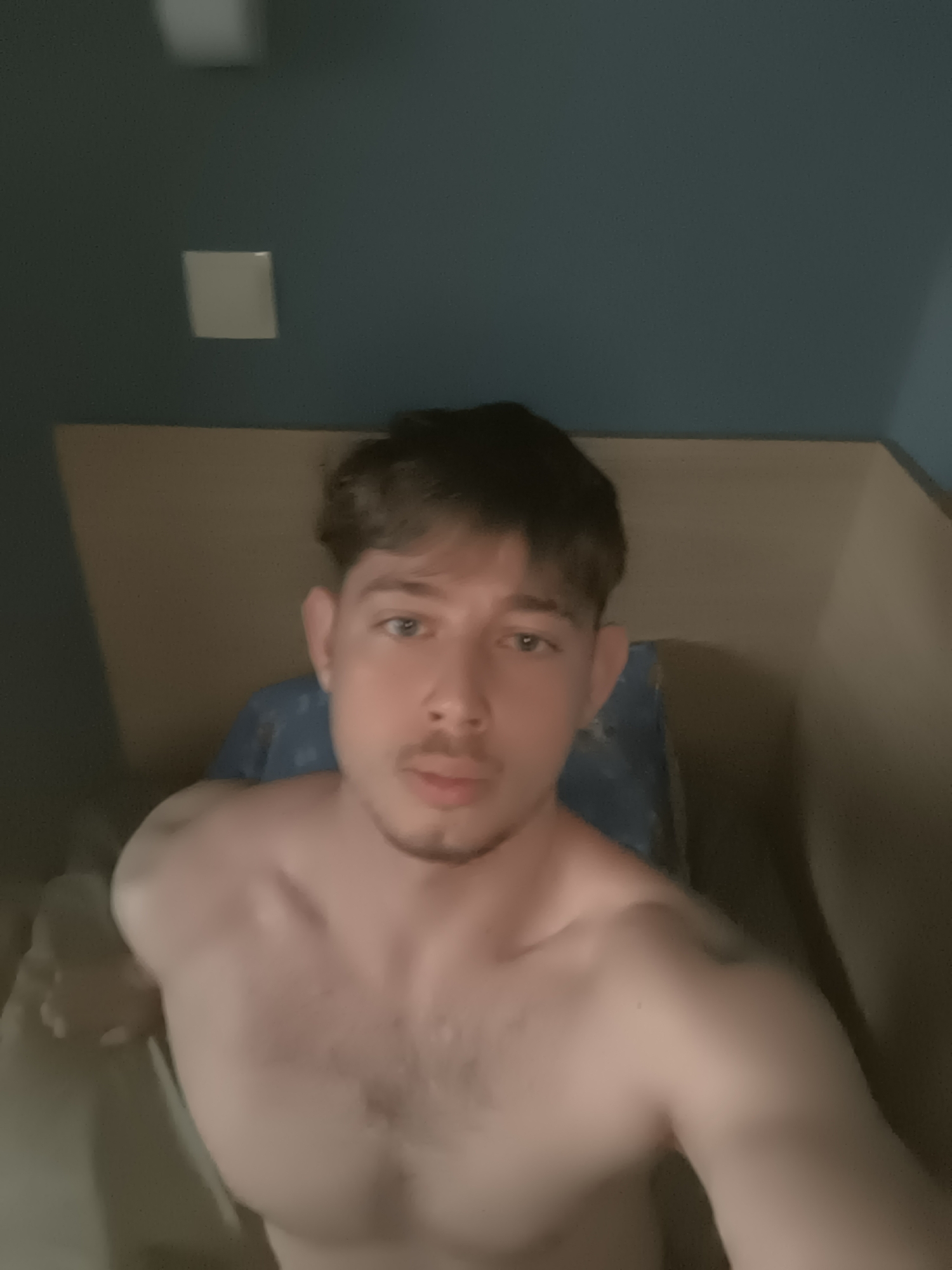 A young adult male is captured in a close-up, indoor selfie. He is shirtless, showcasing a muscular build with some chest hair. He has short, dark brown hair with a fringe, light-colored eyes, and light facial hair including a mustache and goatee. He looks directly at the camera with a neutral expression.
The setting appears to be a bedroom or a confined living space. Behind the subject, there is a light-colored headboard or wall panel. Above this, the wall is painted in a dark teal or blue-green shade. A small, white rectangular object, possibly a light switch or a wall-mounted fixture, is visible high on the blue-green wall. To the right, another light-colored wall creates a corner in the background. A blue pillow or blanket is partially visible behind the man's head.
The lighting is dim and artificial, suggesting an evening or nighttime indoor environment. There are no specific visual cues within the image itself to indicate the location as Sofia, Bulgaria. No text is visible in the image.