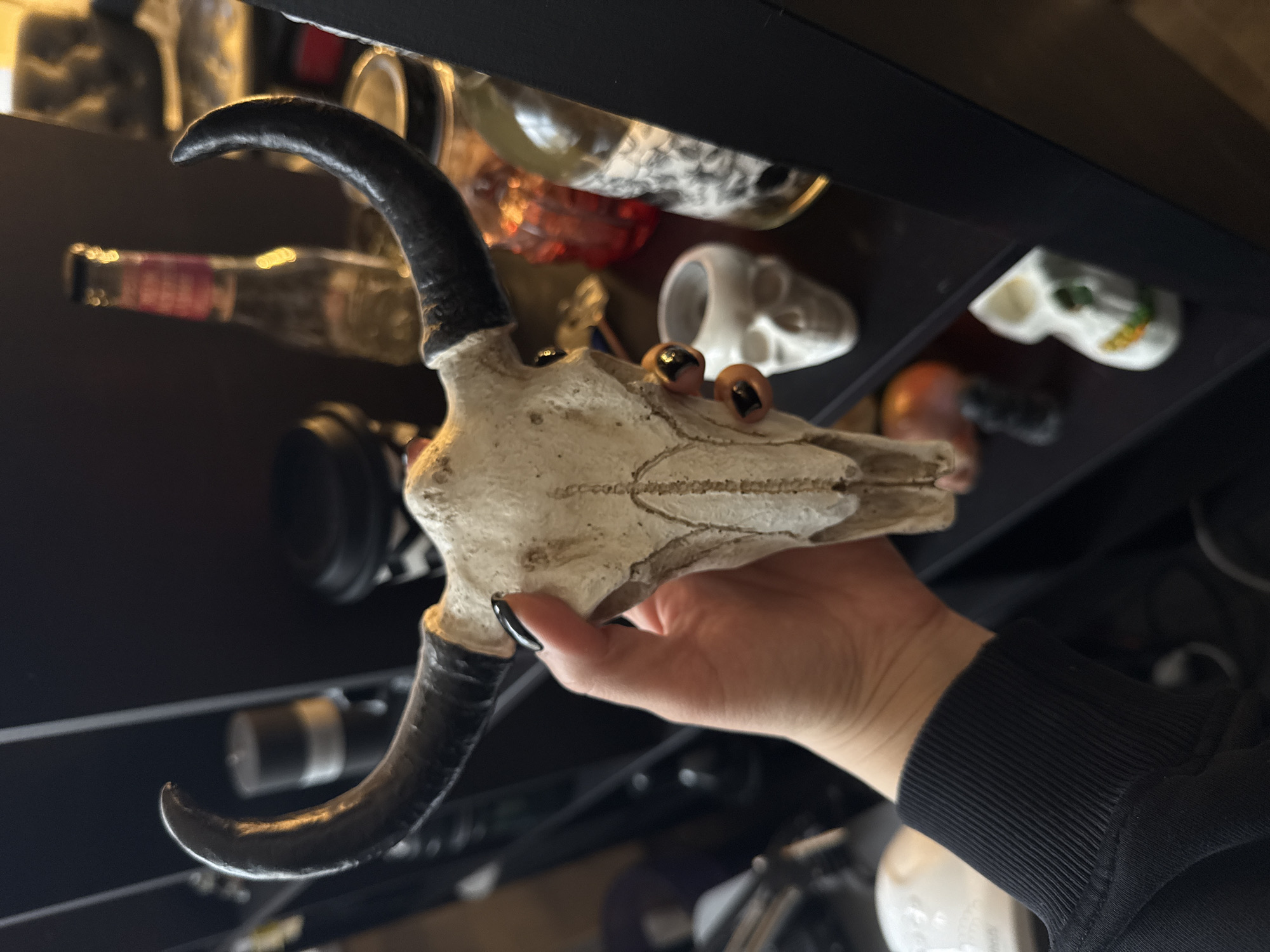 A person holds a faux animal skull with horns in their hand. The skull is light-colored and appears to be made of a resin or plastic material, with two small, round objects affixed to the eye sockets. The horns are dark and curved. The person's hand is visible, with a black-painted fingernail showing. The person is wearing a black, long-sleeved garment. The background includes a dark surface and a shelf with various objects, including bottles and small skulls. The image does not contain any information related to the city of Krasnoyarsk, Russia.