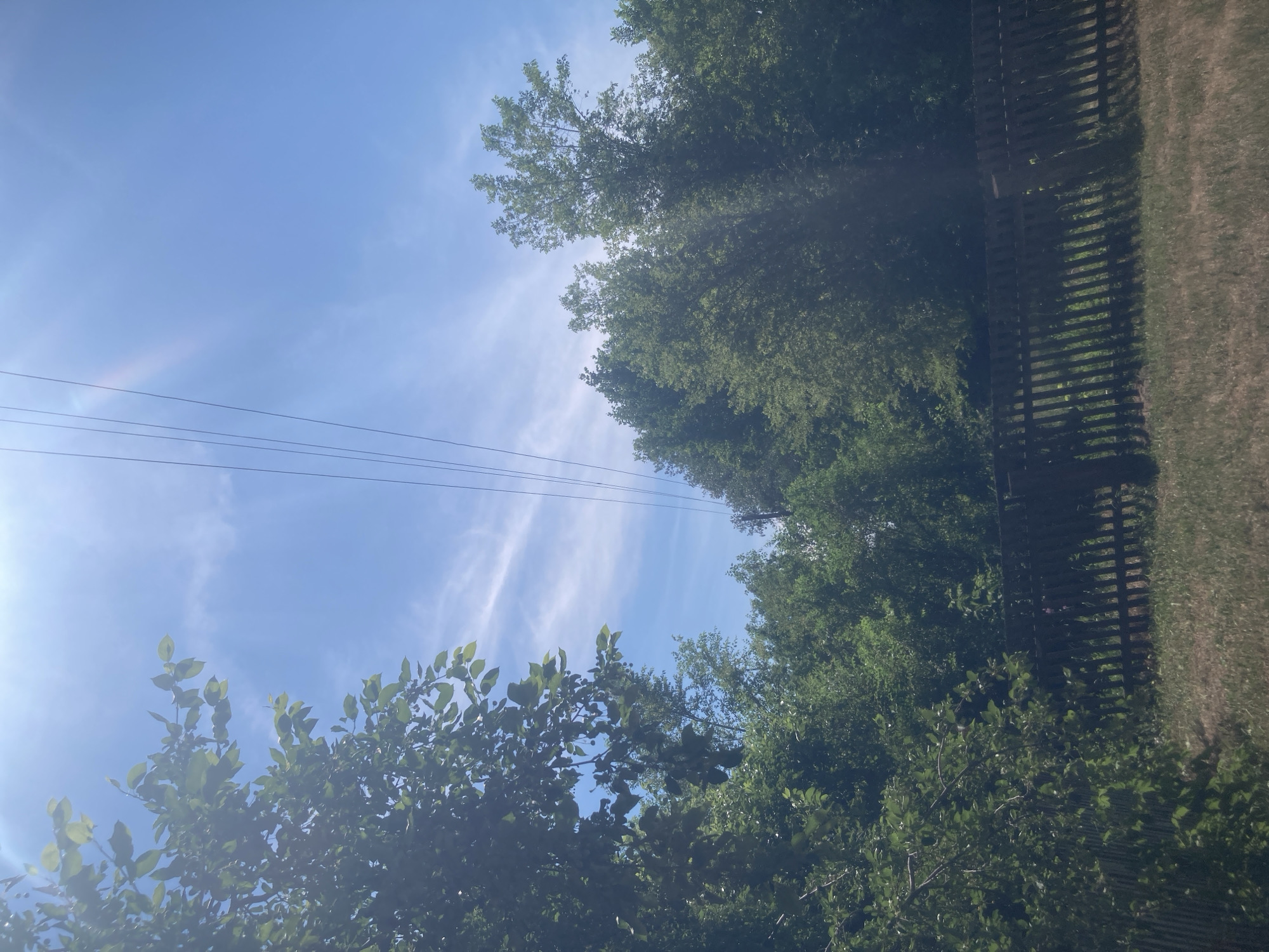 This image captures an outdoor scene, likely in a suburban or rural area, with a focus on the sky and foliage. The sky is a bright blue with wispy white clouds. Several parallel wires are visible diagonally across the upper portion of the frame, suggesting the presence of power lines or telephone lines.
In the foreground, a dark wooden fence runs horizontally across the lower half of the image. Beyond the fence, a grassy area is visible, and behind that, a dense canopy of green trees fills the middle ground and extends towards the background. The sunlight filters through the leaves of the trees, creating dappled light and shadows. On the left side of the image, branches with green leaves extend into the frame from the top.
There are no people or animals visible in the image. The overall impression is one of a sunny day in a natural setting, with man-made elements like the fence and wires intruding upon the landscape. The specific location in the city of Ракиты, Russia, is not discernible from the visual elements alone.