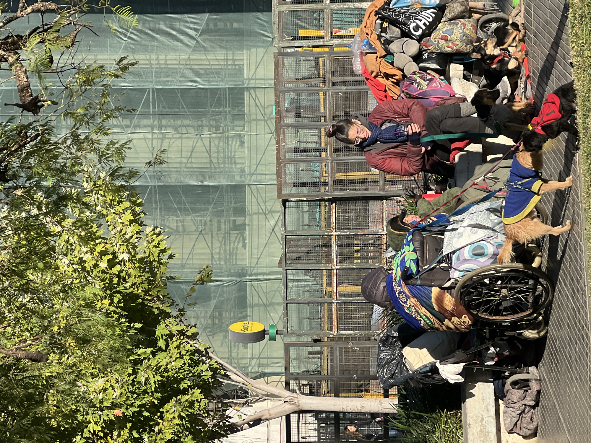 The image depicts a scene on a city street. An individual in a wheelchair, surrounded by personal belongings and several dogs, is positioned on the sidewalk next to a series of metal cages. Another person sits on a bench nearby. Behind them, a building is covered in scaffolding and protective sheeting. The presence of a yellow and green "Subte" sign, combined with other visual cues, suggests a location in Buenos Aires, Argentina.