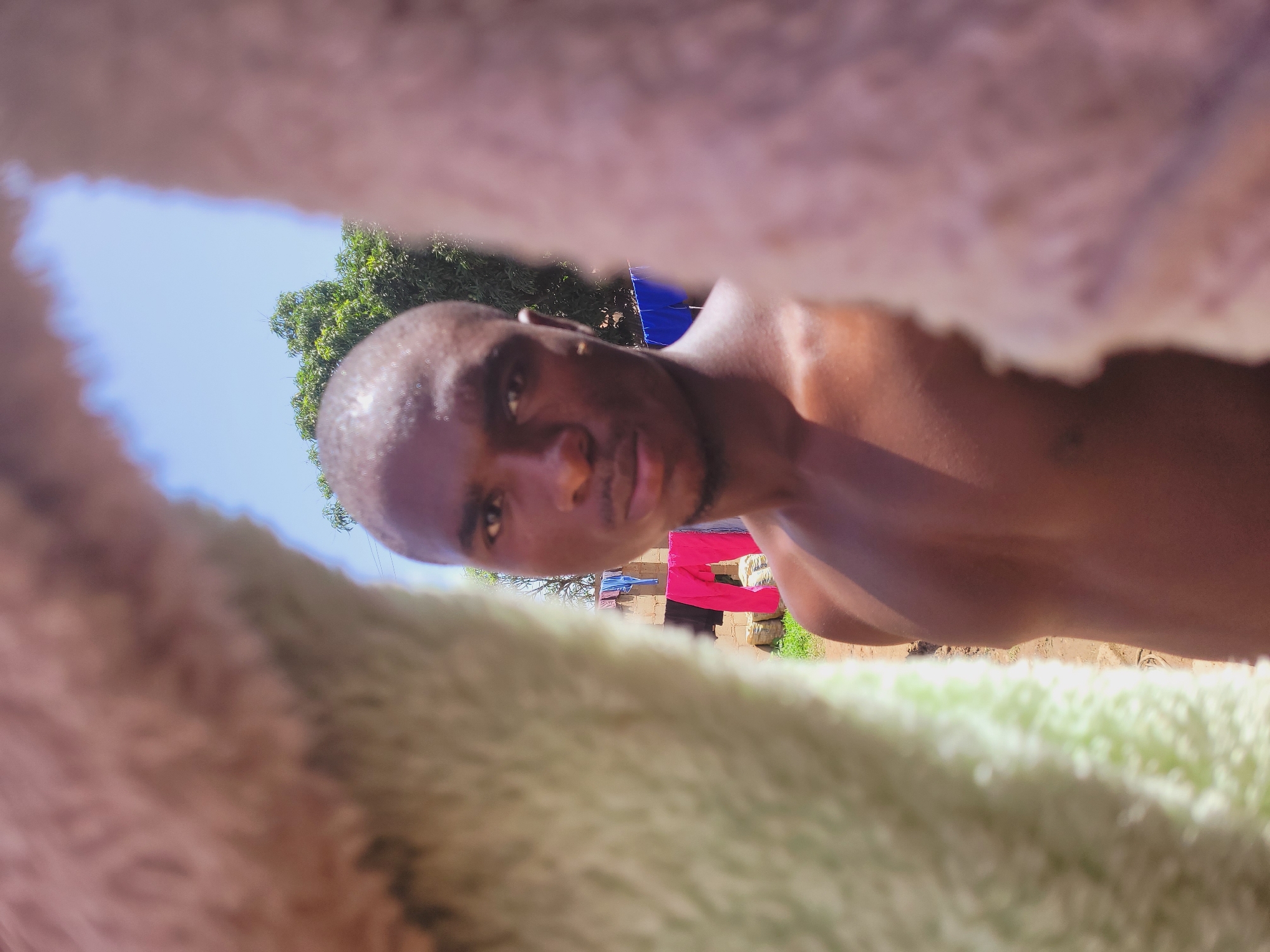 The image presents a unique portrait of a man, framed tightly by blurred, fuzzy fabric at the top and bottom. The upper fabric is a reddish-brown/pink, while the lower one is a light green/beige.
The primary subject is a young adult man, likely in his 20s or 30s, with dark skin, a shaved head or very short hair, and a light mustache. He is shirtless and looks directly into the camera with a neutral and composed expression. His body is slightly angled, with his face turned towards the viewer.
Behind the man, the scene is an outdoor setting under a clear blue sky. Lush green foliage from trees or bushes is visible. In the mid-ground, there are clothes drying on a line, including a prominent bright pink garment and a blue one, along with other less distinct items. Underlying structures appear to be made of brick or similar earthy materials.
The strong, bright sunlight indicates it is daytime, likely mid-morning or afternoon, with clear and sunny weather. The close-up and framed composition create a sense of immediacy, as if the viewer is peeking through a narrow opening. This domestic outdoor scene is set in Bukuru, Nigeria. No visible text is present in the image.