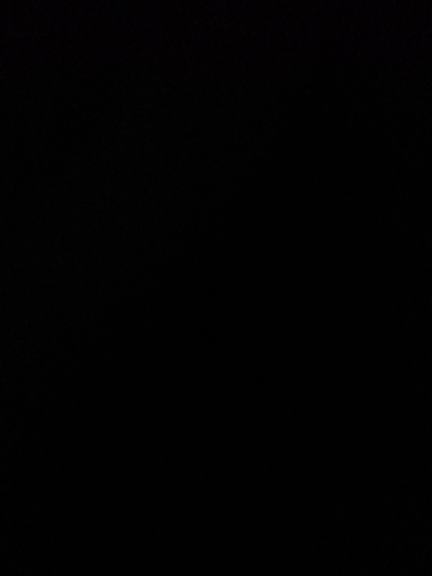 The media file is a completely black image, rendering it impossible to discern any subjects, objects, scene, setting, activity, event, notable details, time of day, weather, location cues, emotions, or visible text.