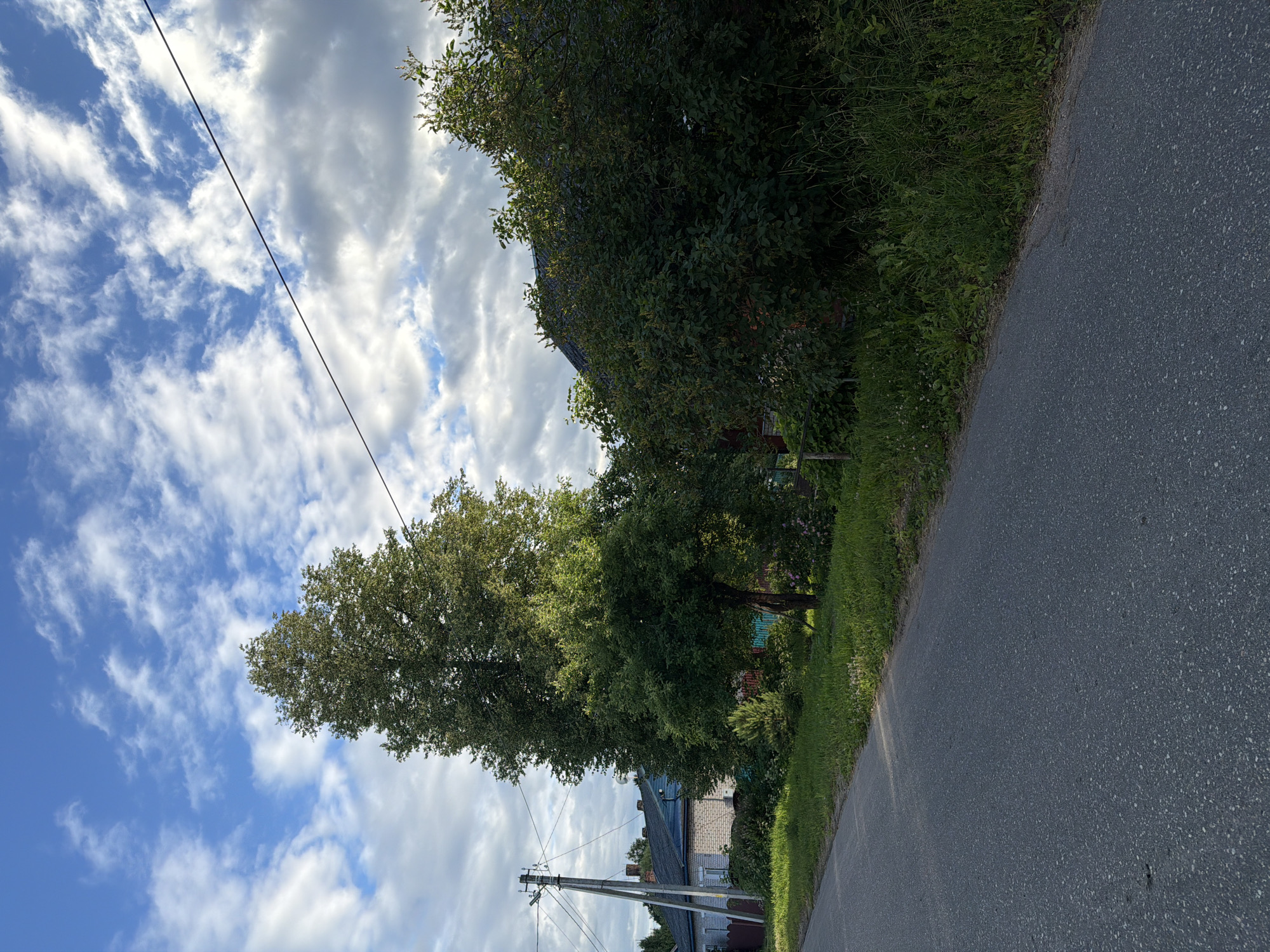 This is a landscape photograph of a rural road in Moshenskoe, Russia. The road, paved with asphalt, curves along the right side of the frame, bordered by lush green grass and foliage. On the left side of the road, a large deciduous tree with a full canopy stands prominently, casting shadows on the ground. Beyond the tree, a traditional rural house with a blue roof and brick walls is partially visible, nestled among more greenery. In the distance, power lines stretch across the frame, supported by a utility pole. The sky above is a mix of bright blue and scattered white clouds, suggesting a partly cloudy day. The lighting indicates it is daytime, likely late morning or early afternoon. The scene evokes a sense of peaceful, rural tranquility, characteristic of a Russian countryside setting. No people are visible in the image.