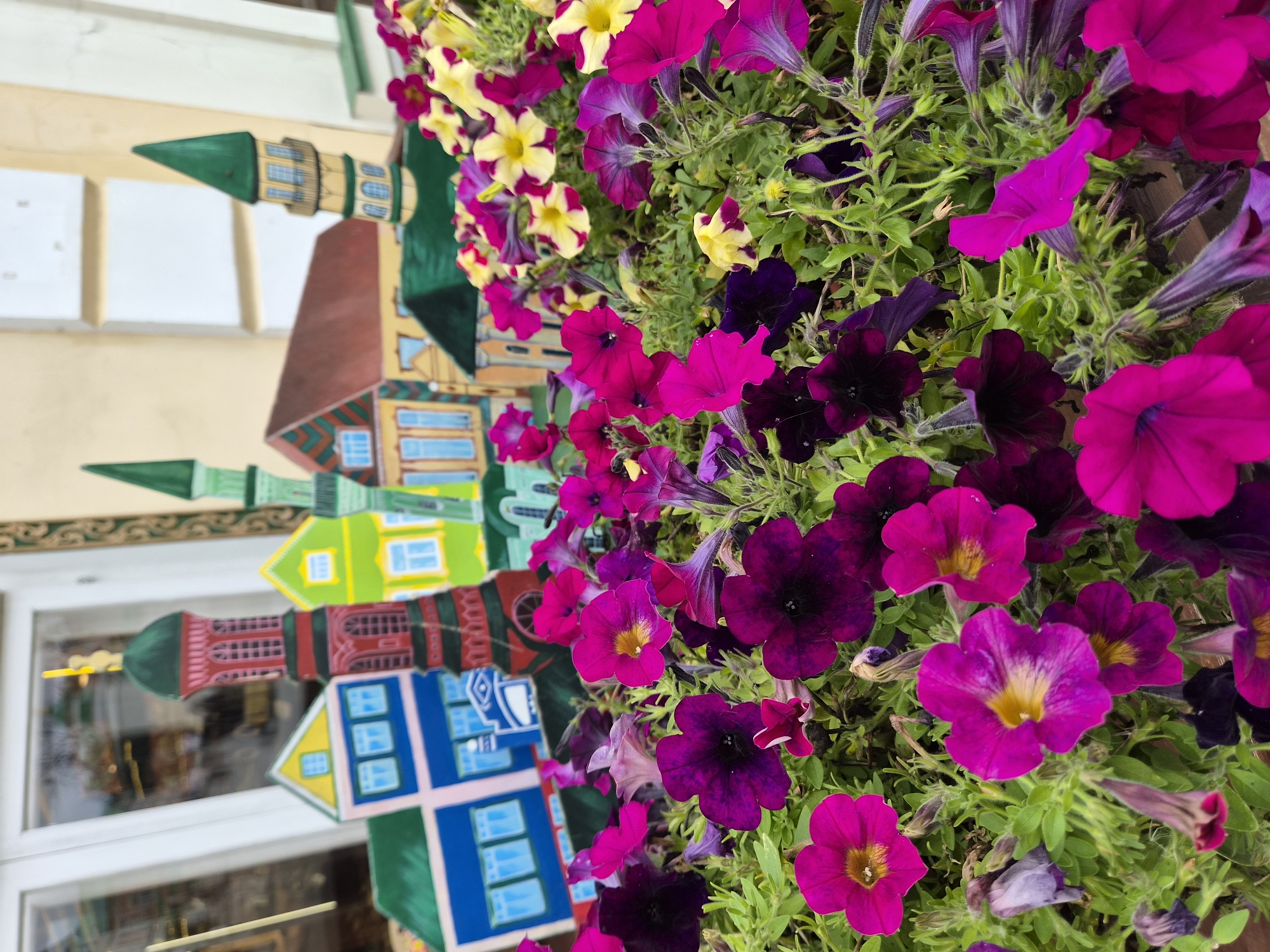 The image depicts a vibrant display of petunias in various shades of pink, purple, and yellow, with some flowers showing a bicolor pattern. The flowers are lush and abundant, filling the foreground and creating a colorful carpet.
In the background, a colorful, whimsical architectural decoration is visible. This decoration features stylized buildings with brightly colored facades in blue, yellow, and green, alongside tall, slender towers topped with green spires. The architectural style appears to be a playful, possibly folk-inspired representation of buildings. The backdrop behind the decoration is a pale yellow wall, with vertical white elements suggesting part of a building facade or frame.
The overall scene suggests an outdoor setting, likely a planter box or flower bed placed in front of a shop or establishment. The bright colors and cheerful decoration create an inviting and festive atmosphere. The presence of the petunias and the decorative architectural display points towards a location that embraces floral beauty and possibly artistic ornamentation.
While the image does not explicitly show the city of Kazan, Russia, such charming floral displays and decorative architectural elements are often found in public spaces, pedestrian zones, or commercial areas in cities known for their cultural vibrancy and aesthetic appeal. This particular scene could be located in a tourist-friendly area or a well-maintained public garden within Kazan.