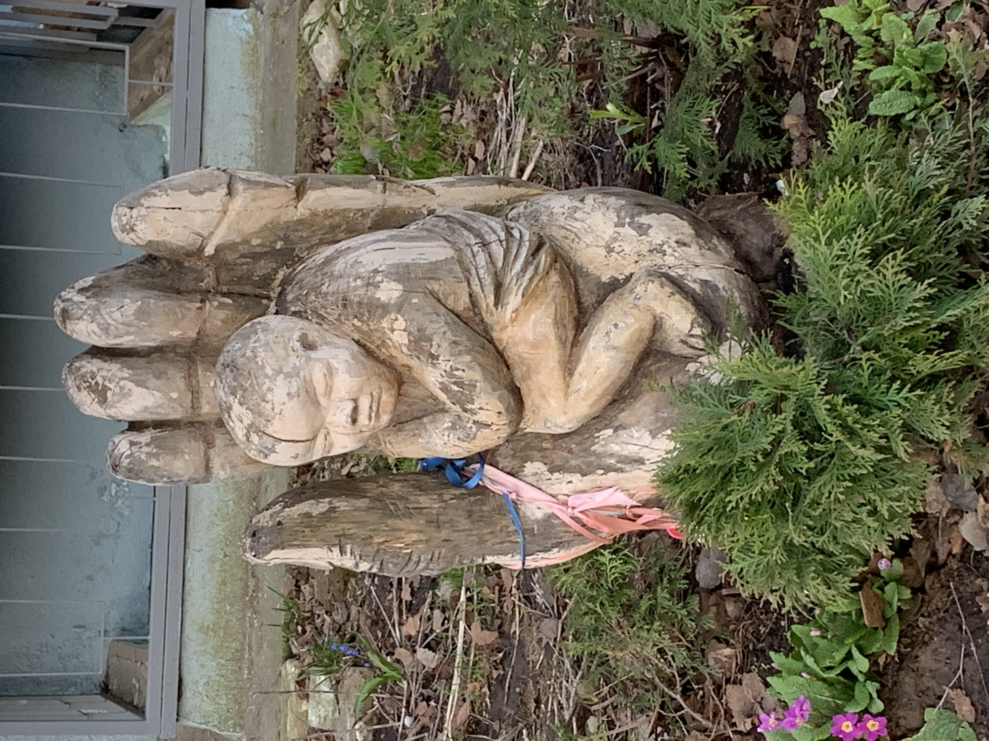 An outdoor image captures a weathered wooden sculpture depicting a large hand gently cradling a sleeping human figure, likely an infant or child. The sculpture is positioned on the ground amidst garden foliage in what appears to be Chaikovsky, Russia.
The central subject is the carved wooden hand, showing distinct fingers and a thumb, with the smaller figure curled peacefully within its palm. The figure's posture suggests a deep, tranquil sleep. The sculpture has a pale, distressed appearance, revealing the wood grain and signs of natural weathering. Tied around the wrist or base of the hand are blue and pink ribbons, which add a touch of color to the otherwise natural palette of the sculpture and its surroundings.
The sculpture is set among various green plants and foliage. To the right, a dense evergreen shrub, possibly a thuja, is prominent. Smaller green plants and several purple primrose flowers bloom near the bottom right of the frame. The ground is covered with soil and dried leaves. In the background, on the left side, parts of a building are visible, including a gray metal frame, possibly from a door or window, and a light-colored concrete wall.
The scene is illuminated by natural daylight, indicating it is daytime. No specific activity is occurring, as the image focuses on the static sculpture. The overall impression conveyed by the artwork is one of protection, care, and peacefulness. There is no visible text in the image.