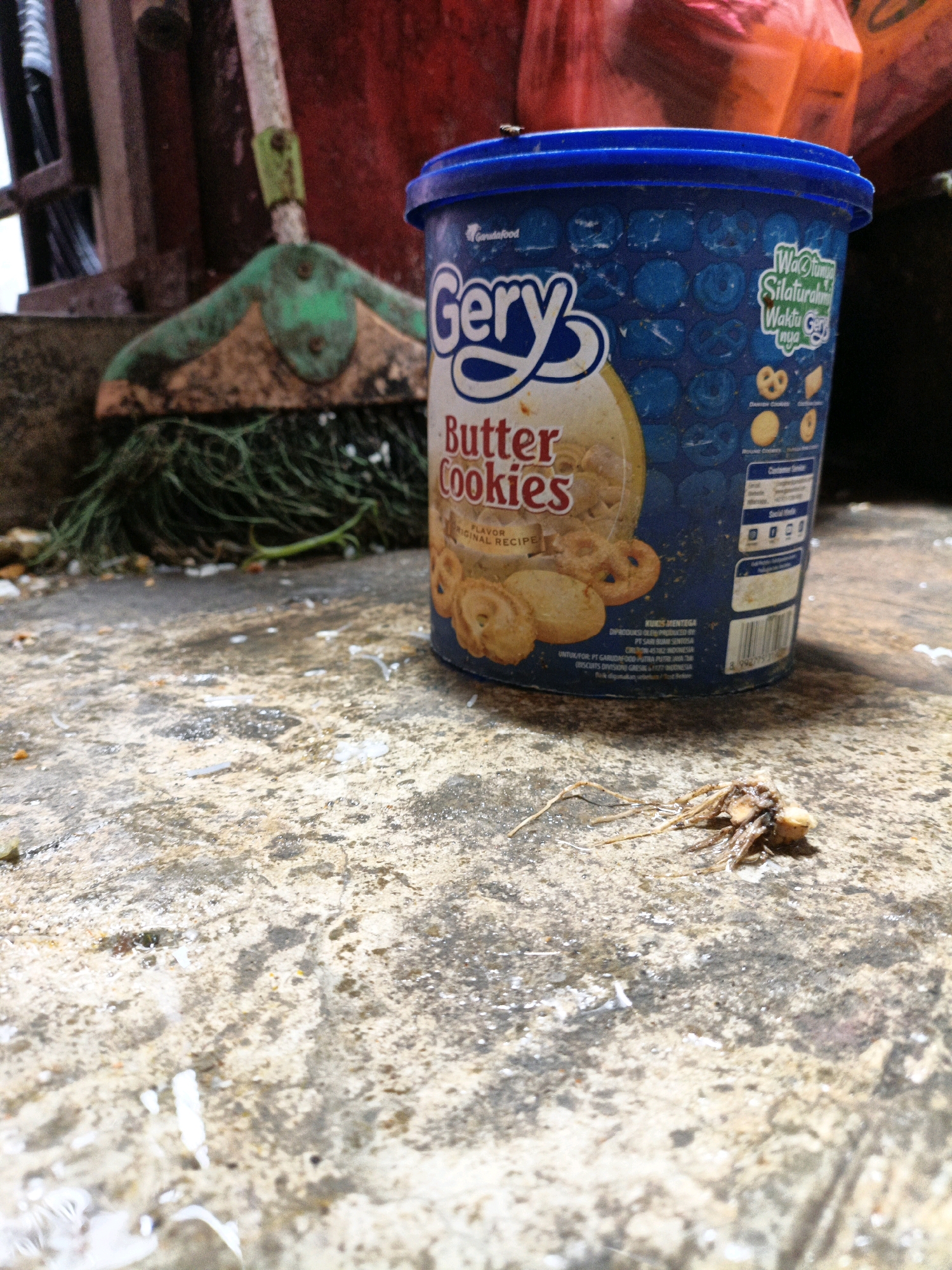 A close-up, low-angle shot captures a blue plastic tub of Gery Butter Cookies and a broom on a rough, textured concrete surface, possibly in West Jakarta, Indonesia. The tub is positioned to the right of the frame, with its lid slightly ajar and the "Gery Butter Cookies" label prominently displayed. A small insect is perched on the edge of the tub lid. To the left, the green and tan plastic head of a broom is visible, its bristles fanned out. A dry plant or root lies on the concrete in the foreground, appearing desiccated and twig-like. The concrete surface is speckled with debris, including white flecks and water stains, suggesting an outdoor or unkempt environment. The background is out of focus, showing hints of red and orange plastic bags or containers and what appears to be part of a wooden structure. The lighting is harsh, casting distinct shadows and highlighting the textures of the concrete and the objects.