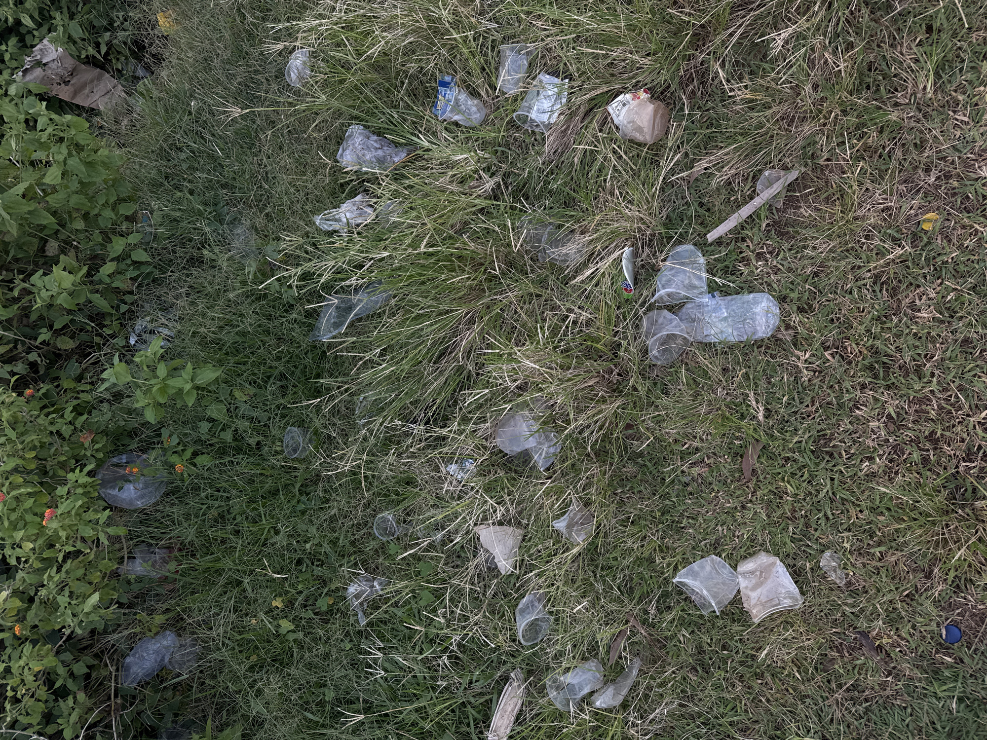 The image shows a patch of ground covered in grass and other vegetation, littered with numerous discarded plastic cups and other trash. The trash is scattered throughout the image, partially obscured by the vegetation. The environment suggests an outdoor area. Based on the prompt, this location is in Kuta Selatan, Indonesia. No people are visible. There is no sign of actions or interactions.