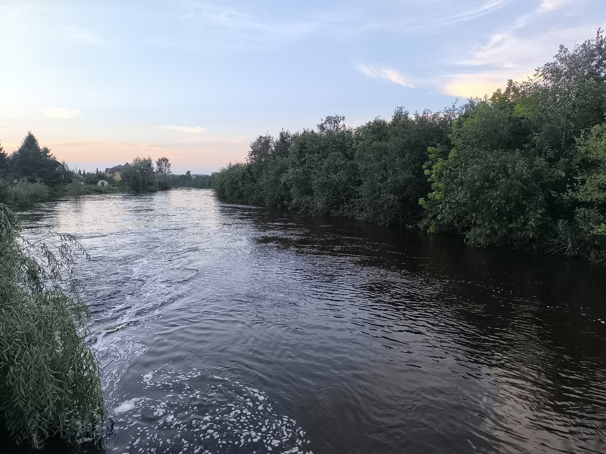 This is a landscape photograph of a river in Kashino, Russia, taken from a slightly elevated perspective, possibly from a bridge or embankment. The river, with its dark, rippling surface, occupies the foreground and midground, with foam and eddies visible along the left bank. The left bank is lined with lush, green foliage, including the drooping branches of a willow tree. The opposite bank and extending into the distance is densely wooded with mature trees. The sky above is a pale blue, transitioning to hues of pink and yellow near the horizon, indicating either dawn or dusk. A few wispy clouds are scattered across the sky. In the distance, on the left bank, a few buildings and houses are visible amongst the trees, suggesting a small settlement. The overall scene depicts a tranquil, natural environment under a soft, diffused light.