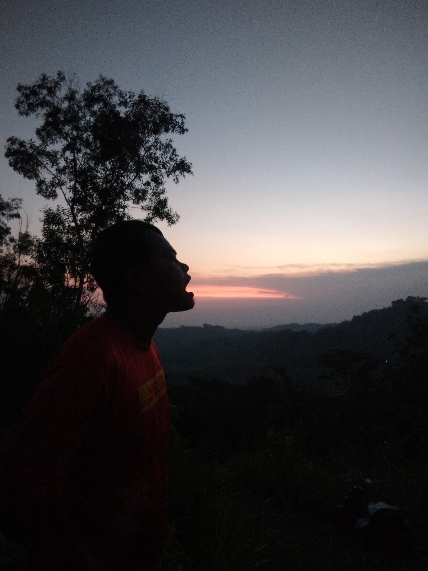 A silhouetted person wearing a red shirt with yellow lettering stands with their head tilted back and mouth open, appearing to shout. A silhouetted tree is located to the person's left. The background shows a skyline with a sunset, mountains, and dark foliage, suggesting a natural environment. The location is Unknown, Unknown.