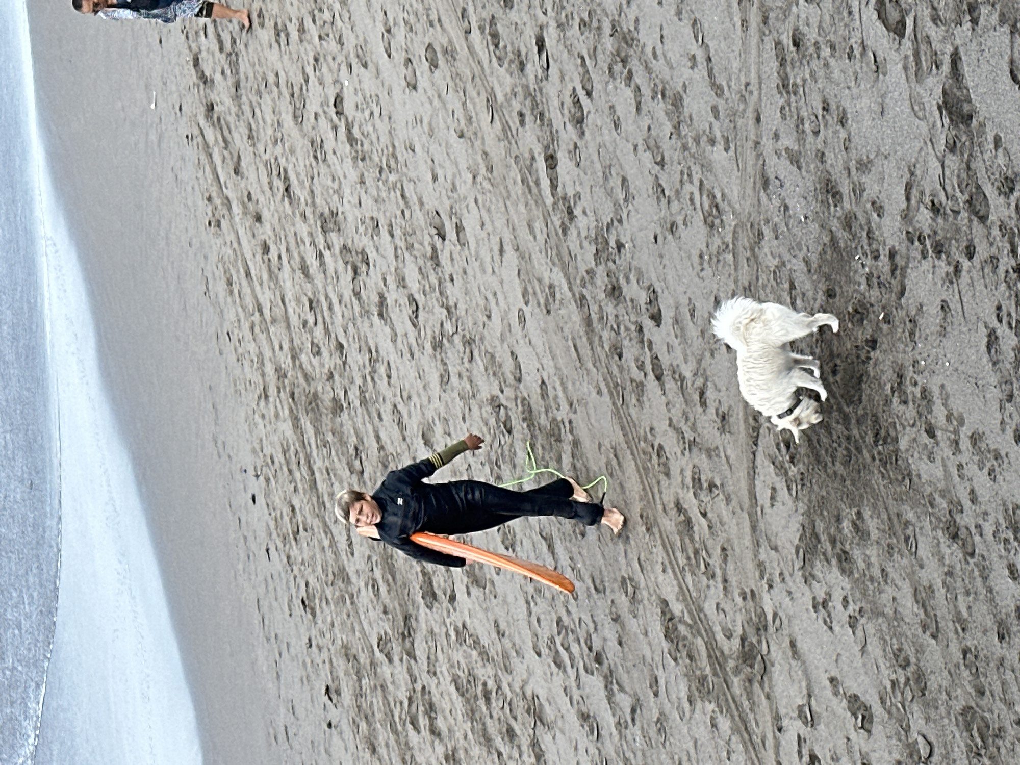A child wearing a black wetsuit walks on a sandy beach, holding a bright orange boogie board. A leash trails behind the child. A white dog with a fluffy tail is also on the beach, sniffing the ground. The ocean is visible in the background, with gentle waves breaking on the shore. The sand is wet and textured with footprints and tire tracks. The scene appears to be in North Kuta, Indonesia.