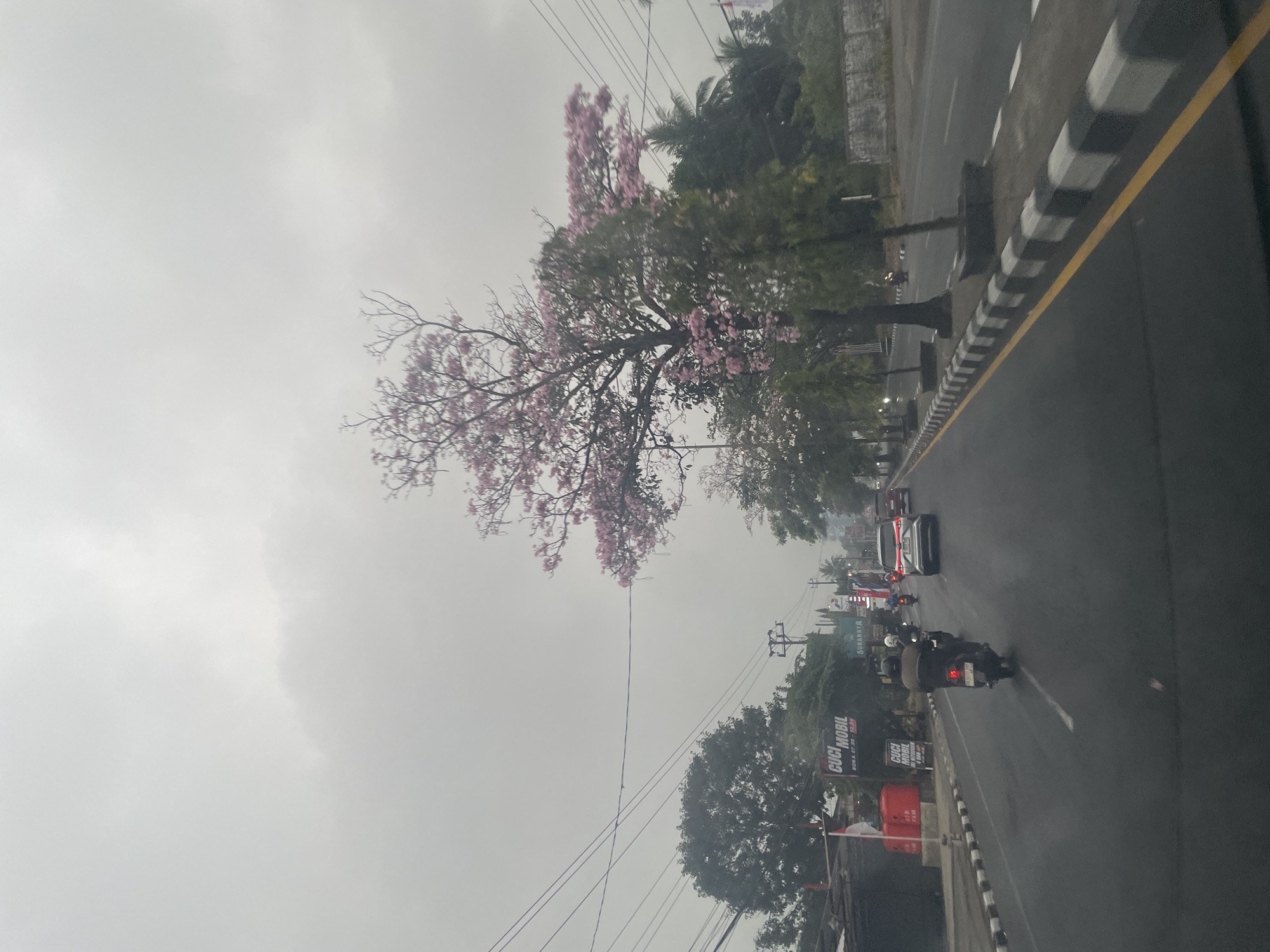 The image depicts a street scene in Danurejo, Indonesia, under an overcast sky. The foreground shows a paved road with two lanes, marked by a solid yellow line on the left and a dashed white line in the center. Several vehicles are present on the road, including motorcycles, cars, and a van. In the middle ground, a tree with pink blossoms is prominently featured, with other trees and foliage lining the sides of the road. Buildings and signs are visible on the left side of the street, including one advertising "CUCI MOBIL" (car wash) with operating hours. The right side of the road features a sidewalk with decorative planters. The overall atmosphere is subdued due to the cloudy weather.