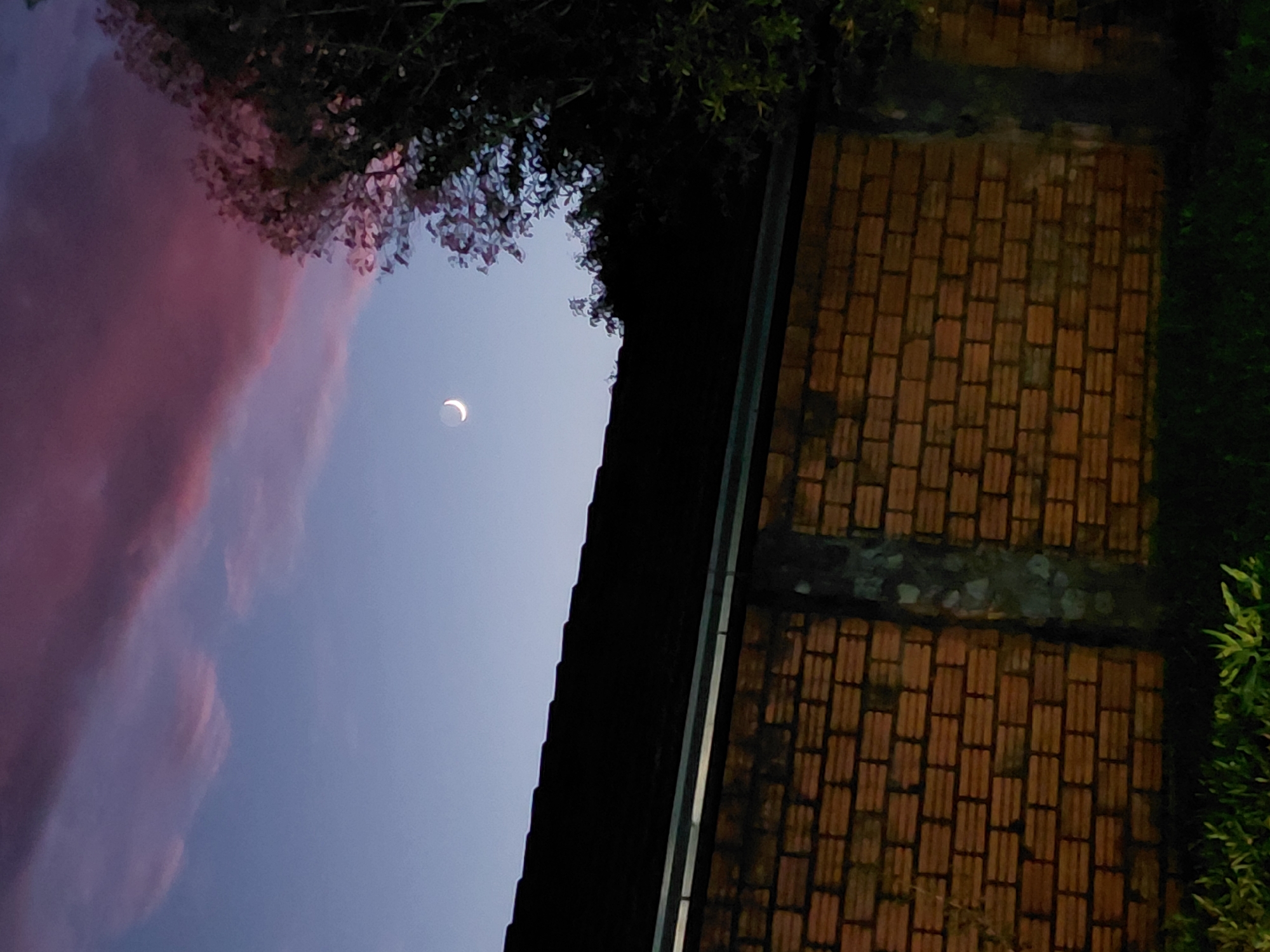 An image captures a twilight sky over Encarnación, Paraguay. A crescent moon is visible in the pale blue sky, with a large, dark purple cloud stretching across the upper portion. In the foreground, a dark-tiled roof of a building is silhouetted against the sky. Below the roofline, a brick wall, constructed of orange bricks, runs horizontally. A concrete support is visible on the left side of the wall, and a tree with dark foliage is positioned on the right side. The bottom of the image shows dark green grass.