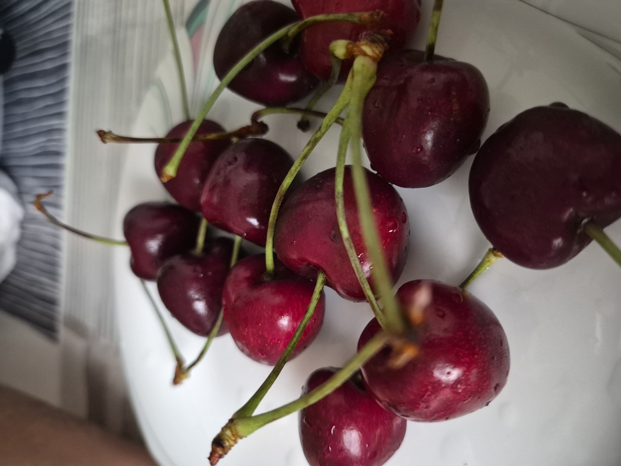 A close-up, overhead shot shows a pile of ripe, dark red cherries on a white plate. The cherries are glistening with water droplets, suggesting they are freshly washed. Each cherry has a thin green stem attached, and some stems are intertwined. The background is a blurred striped pattern, possibly a tablecloth or placemat, and a hint of a person's arm is visible on the left side of the frame, providing a sense of scale and context.