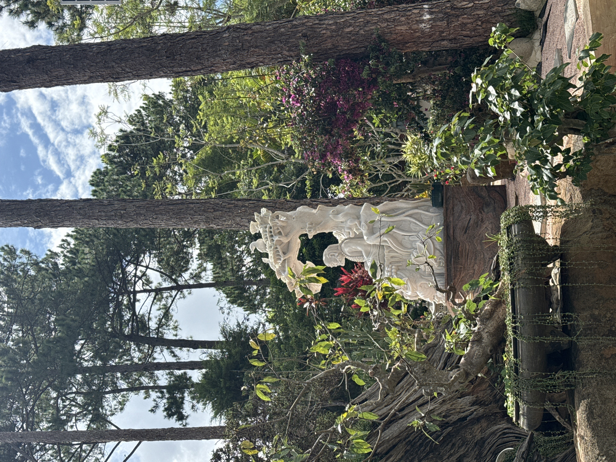 The image depicts an outdoor scene, likely a garden or temple grounds, in Da Lat, Vietnam. Dominating the center is a large, intricate white sculpture of a seated figure, possibly Buddha or a deity, adorned with birds and natural elements. To the left of the sculpture, a mature bonsai tree with gnarled branches is planted in a dark, oval pot, its delicate green tendrils cascading downwards. Behind the bonsai and sculpture, dense greenery creates a lush backdrop, with tall pine trees framing the scene and a patch of vibrant purple flowers adding a splash of color. The ground is covered in a mix of rocks, sand, and some paved areas. The sky above is partly cloudy, indicating daytime. The overall impression is one of tranquility and natural beauty, with a touch of cultural artistry.