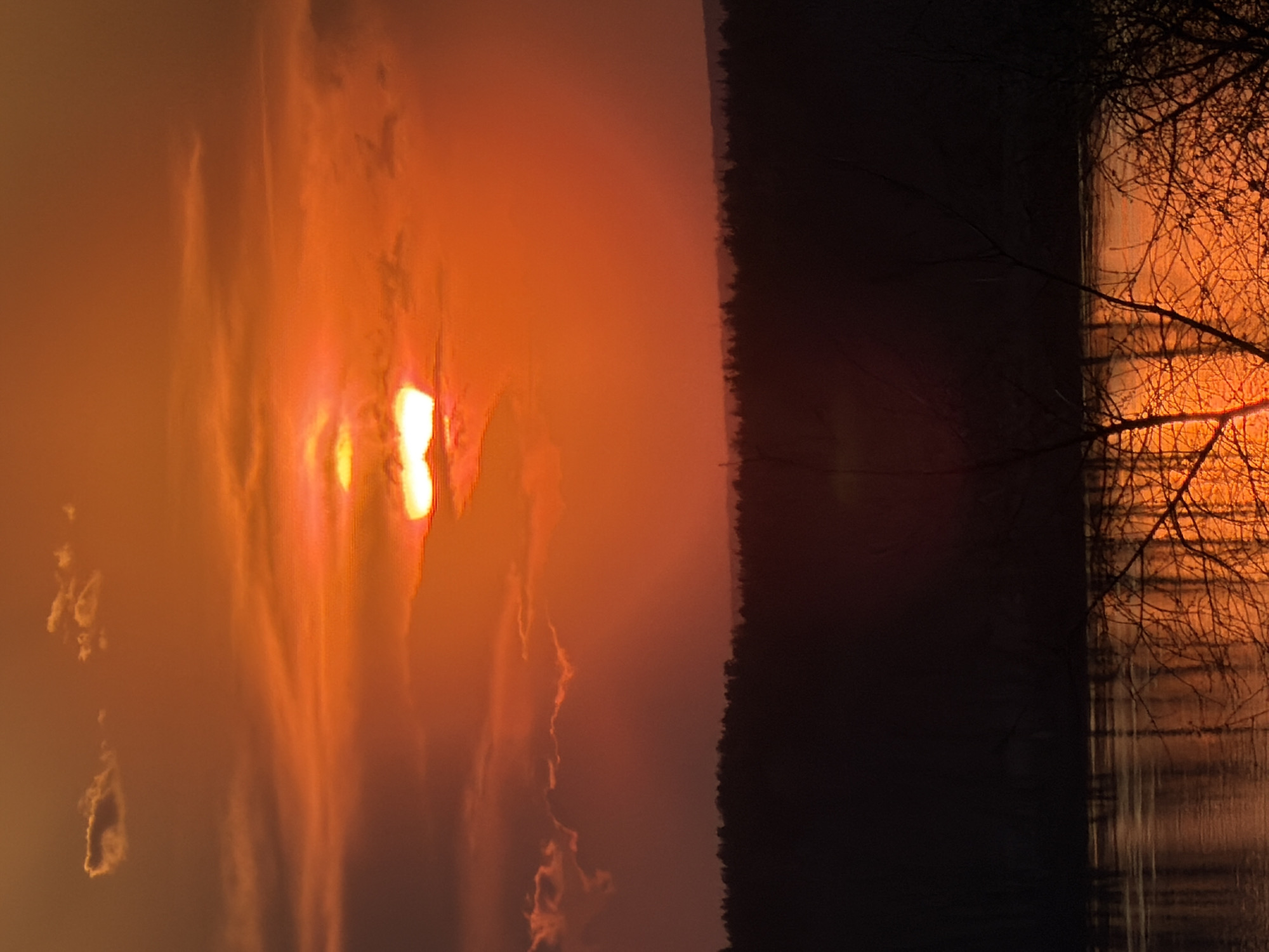 The image depicts a sunset at the city of Chaikovsky, Russia. A bright orange sun is partially obscured by clouds. The shoreline and the silhouette of a forest edge are visible on the right, with a possible body of water reflecting the sunset's orange glow. The branches of a tree are visible in the foreground. The scene appears calm.