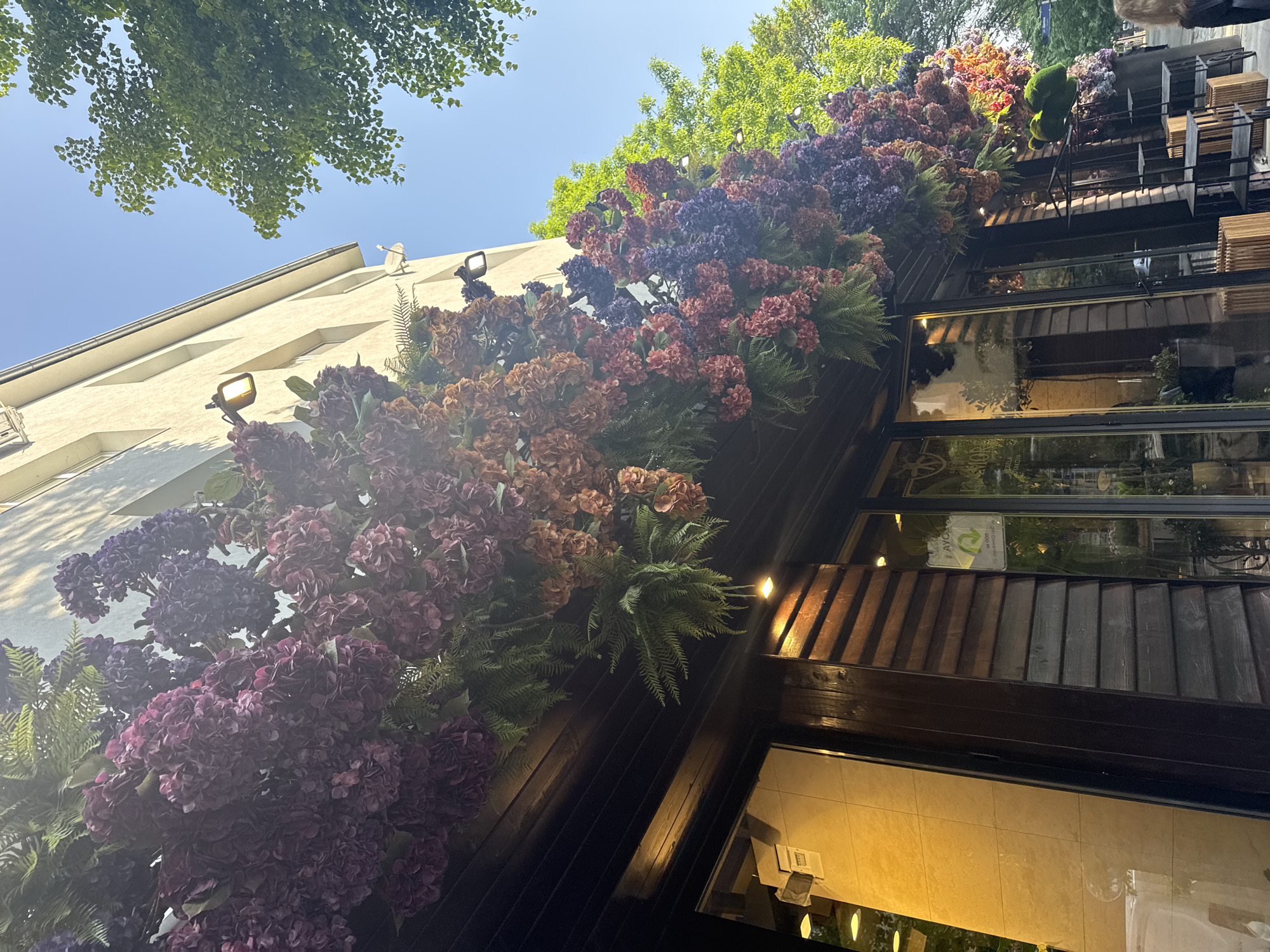 The image shows the exterior of a building, possibly a restaurant or shop, in Sofia, Bulgaria. A portion of a light-colored building with exterior lights is visible. The facade of the lower part of the building is decorated with a large display of colorful flowers, including purple, burgundy, and orange hydrangeas mixed with green ferns. There are also tables and chairs visible on an upper level of the building. The sky is blue with a few scattered clouds. Branches of a tree are visible in the upper left corner of the image. The building is well-lit, and there is a sign with a logo on the window. The overall impression is that of a stylish and inviting establishment.