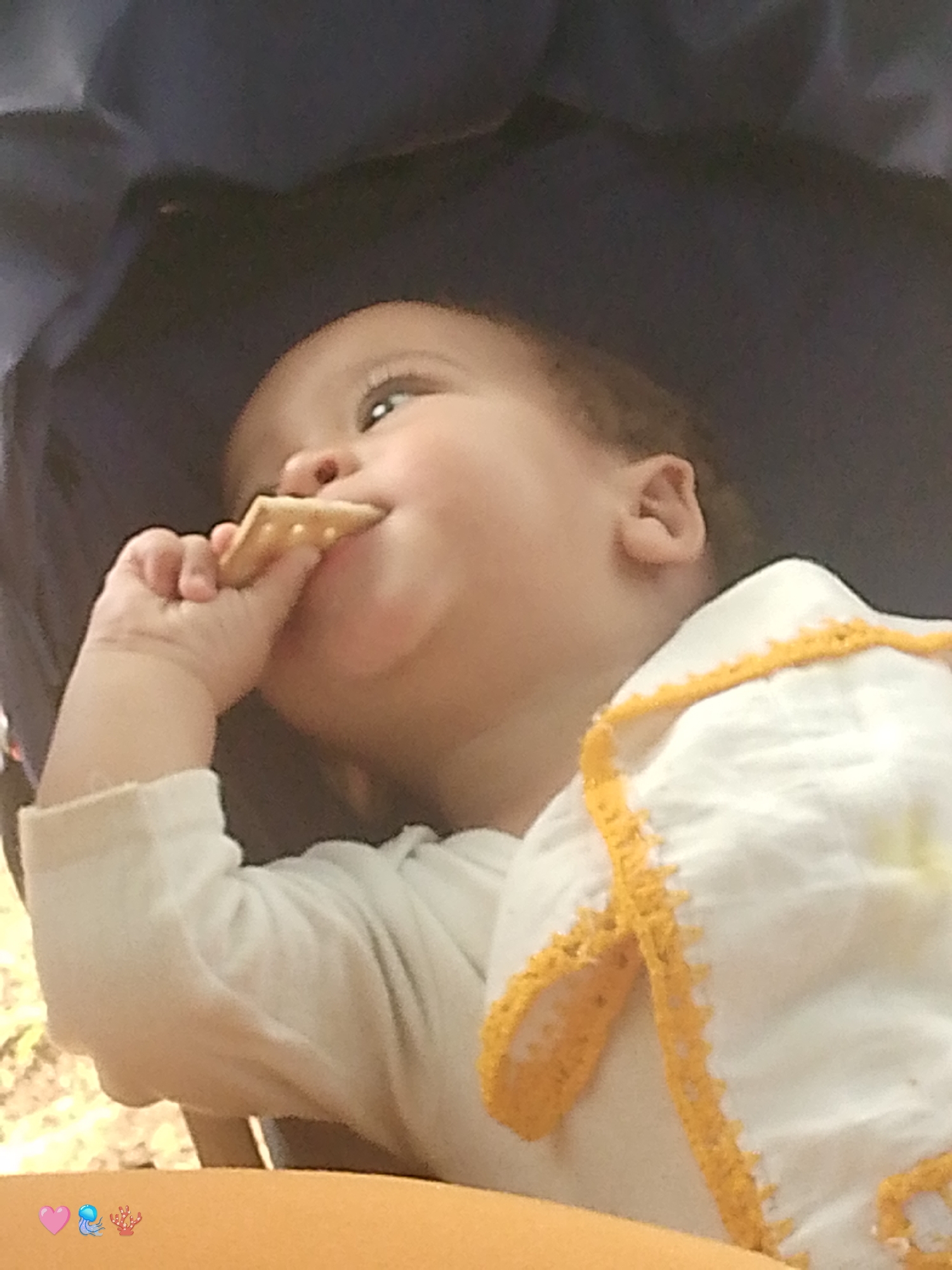 A baby is captured in a close-up shot, looking upwards and to the right, while holding a cracker in its right hand and bringing it to its mouth. The baby is wearing a white long-sleeved shirt and a white bib with a yellow decorative trim. The background is dark and appears to be the interior of a stroller or a similar seating arrangement. The image is slightly out of focus, giving it a soft appearance. The scene is located outdoors, as indicated by the light and the hints of greenery in the background on the left side. The specific location in Santa Ana, Venezuela, is not discernible from the provided image.