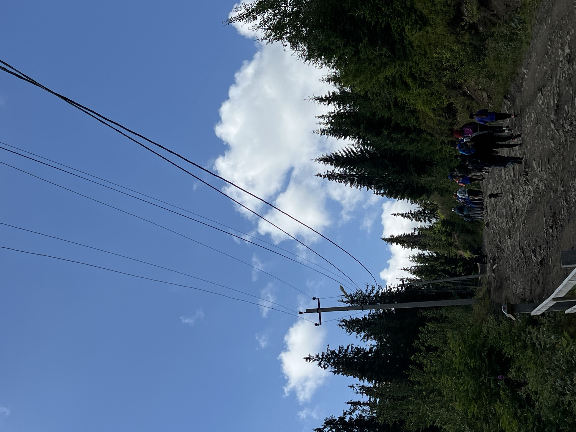 A group of people are hiking up a rocky path through a dense forest. Overhead, power lines stretch across a bright blue sky with scattered white clouds. The path is uneven, with large stones and dirt, and the surrounding trees are tall and green, characteristic of a mountainous or hilly region. The hikers are spread out along the path, some with backpacks and trekking poles, indicating a recreational activity. A small dog is visible near the front of the group. The scene appears to be in a natural, outdoor environment, likely a hiking trail in the Carpathian Mountains, which are known to be in and around Chorna Tysa, Ukraine. The image captures a moment of outdoor activity in a scenic, forested landscape.