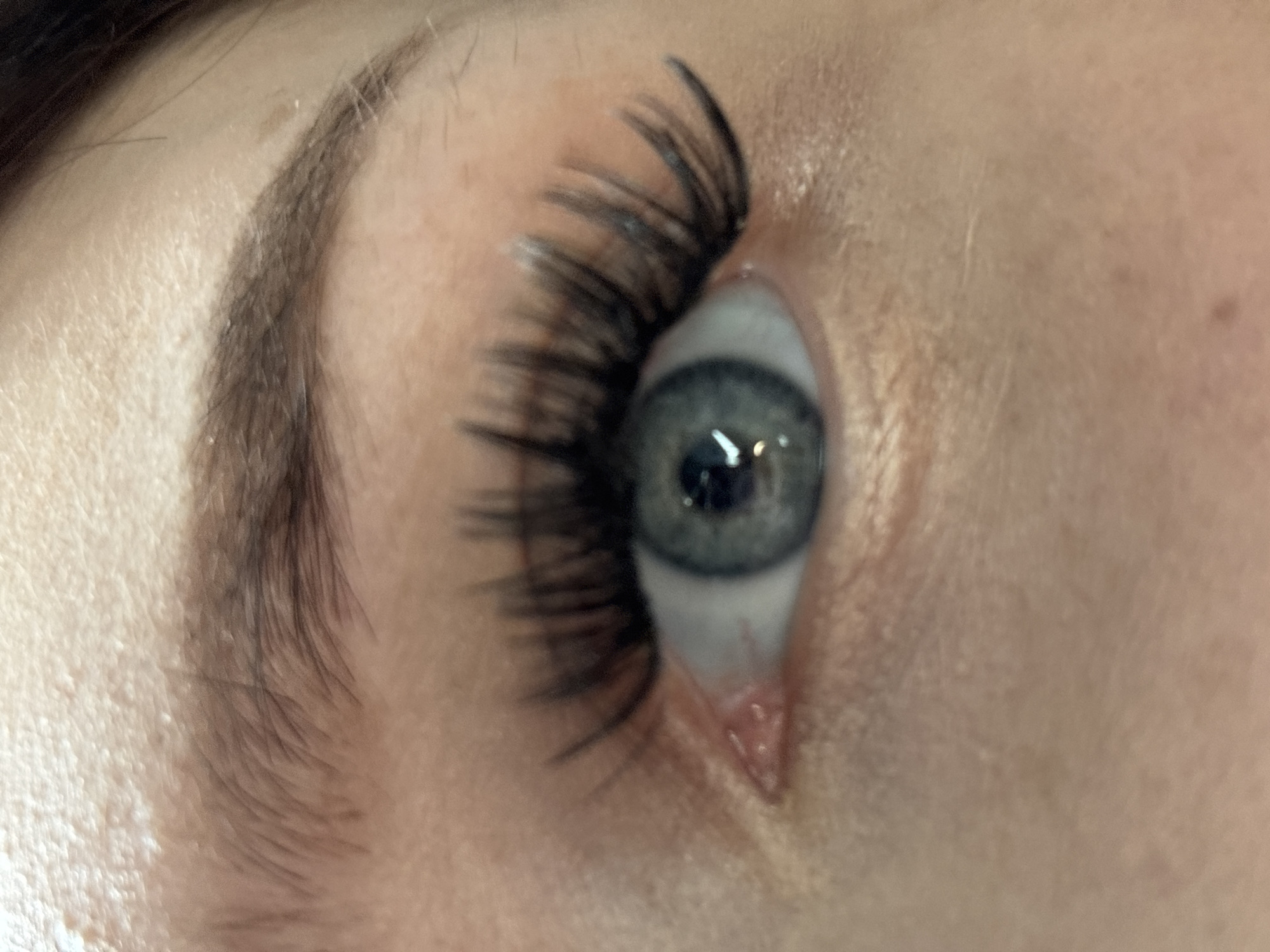 A close-up photograph shows a human eye. The eye has a light-colored iris with dark pigmentation near the pupil. Long, dark artificial eyelashes are attached to the upper eyelid. The eyebrow is visible above the eye and is thick and dark. The skin is light-toned. The image does not contain enough information to determine the location as Chaikovsky, Russia, or to describe any actions, interactions, or environment beyond the immediate area of the eye.
