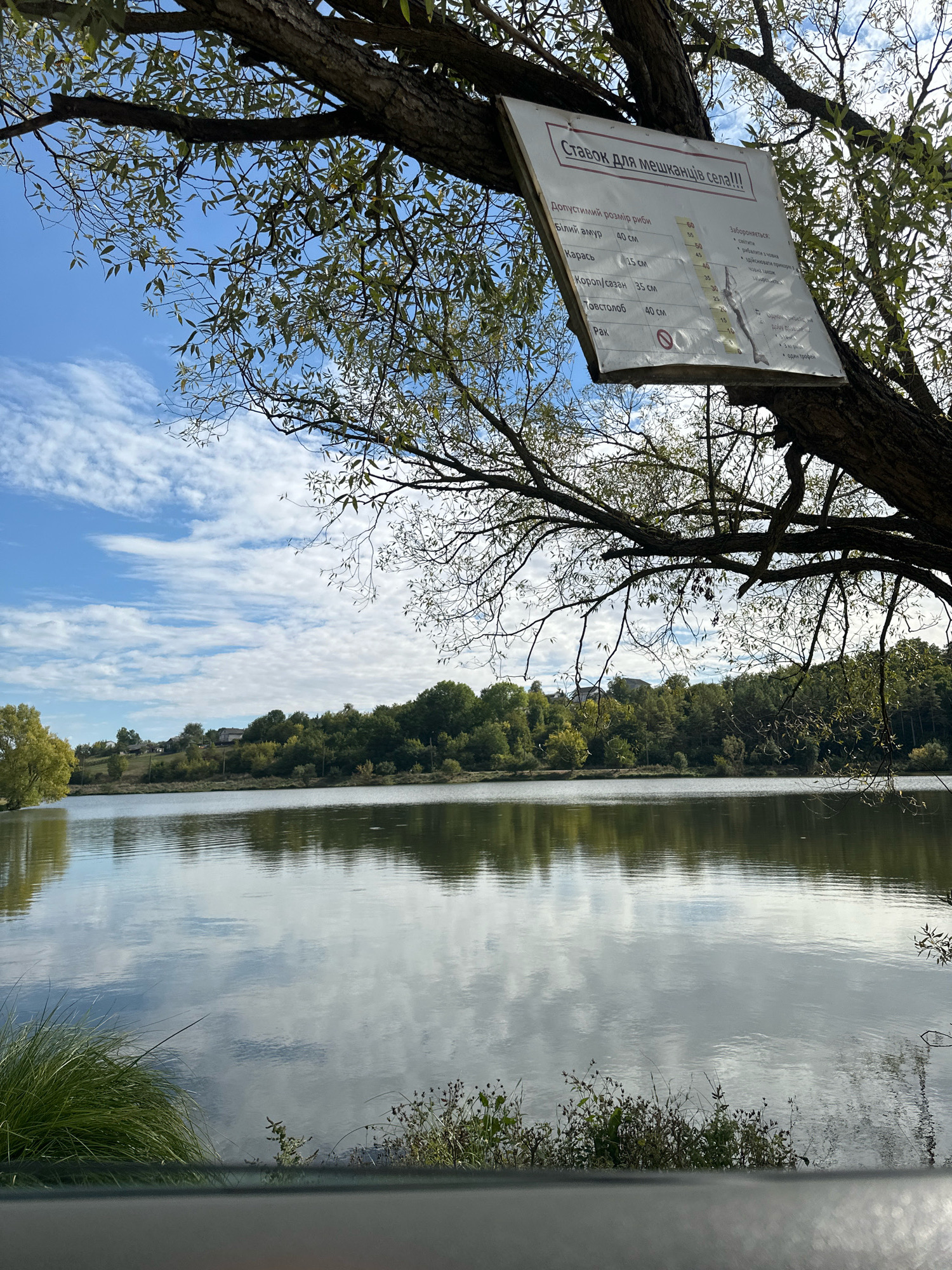 The image is a photograph of a lake in the city of Makiv, Ukraine, on a cloudy day. In the foreground, a tree branch hangs over the water, with a sign attached to it. The sign, written in Cyrillic script, appears to be a set of fishing regulations. The lake is calm, with reflections of the sky and trees on its surface. In the background, there is a line of trees and houses on the far bank of the lake. The overall scene is peaceful and serene.