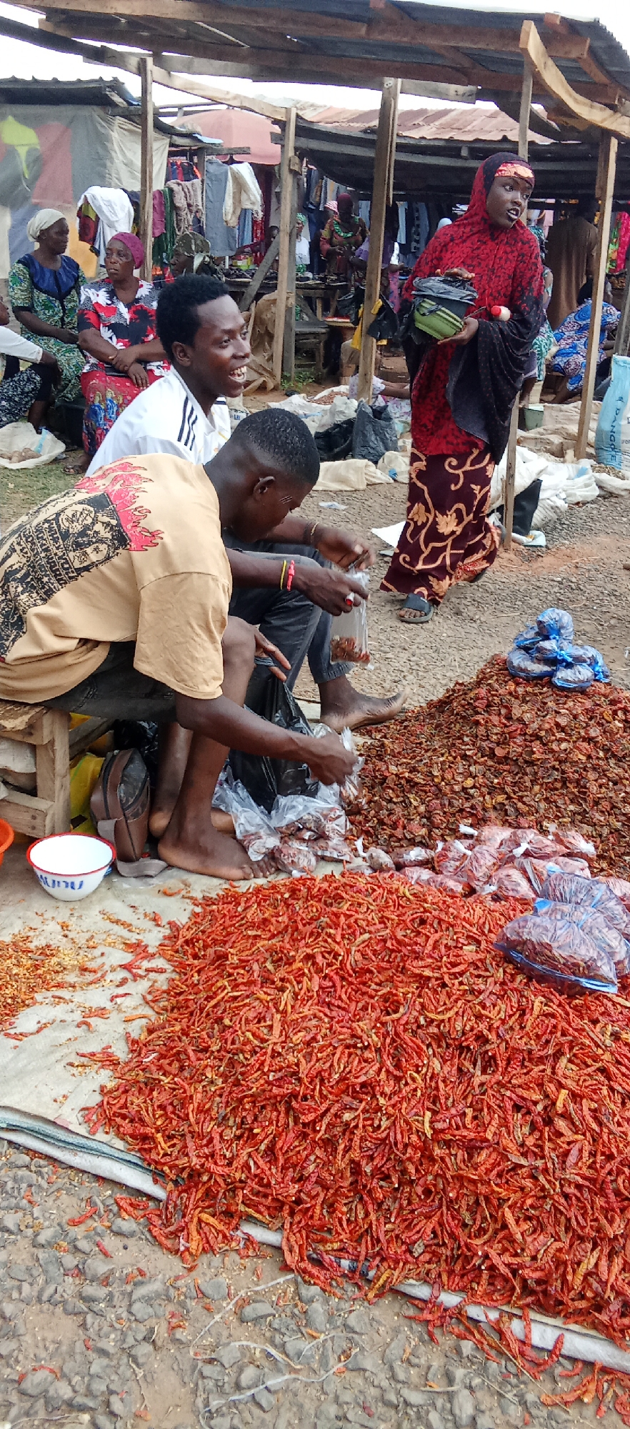 In a bustling open-air market in Akwanga, Nigeria, two men are packaging dried chili peppers for sale. One man, wearing a tan t-shirt with a colorful design, sits on a small wooden stool. The other, in a white athletic shirt, sits next to him and laughs. They are both barefoot, filling small plastic bags from two large piles of dried red and brown peppers spread on a tarp and in a mound behind them. In the background, several women are seated, dressed in traditional clothing. Another woman in a red and black patterned outfit and headscarf stands nearby, holding a black bag. Market stalls with clothing and other goods are visible behind the people.