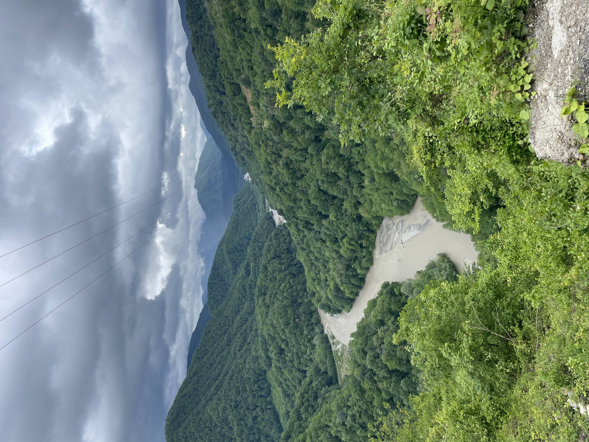 This image captures a mountainous, forested landscape in Khartsyz Pervyi, Russia, viewed from a high vantage point. The sky is overcast with dark, heavy clouds and the mountains are densely covered with green trees. A river, brown with sediment, winds through the valley below. Power lines extend across the sky, and vegetation, including leaves and some rocky terrain, is visible in the foreground.