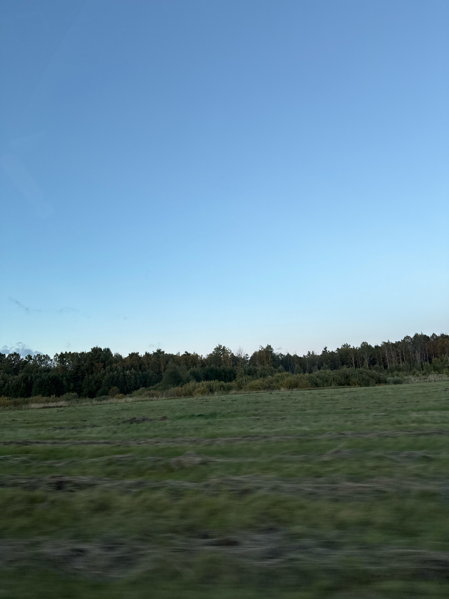 The image depicts a landscape scene of a grassy field with a treeline in the distance, under a clear blue sky. The location is identified as Alliku, Estonia. The foreground consists of a blurred green field, suggesting movement, possibly from a vehicle. The midground shows a dense forest with various shades of green, indicating a mix of deciduous and coniferous trees. The sky is a gradient of pale blue, lighter near the horizon and deepening towards the top. There are no people or visible animals in the frame. The overall impression is that of a natural, rural environment.