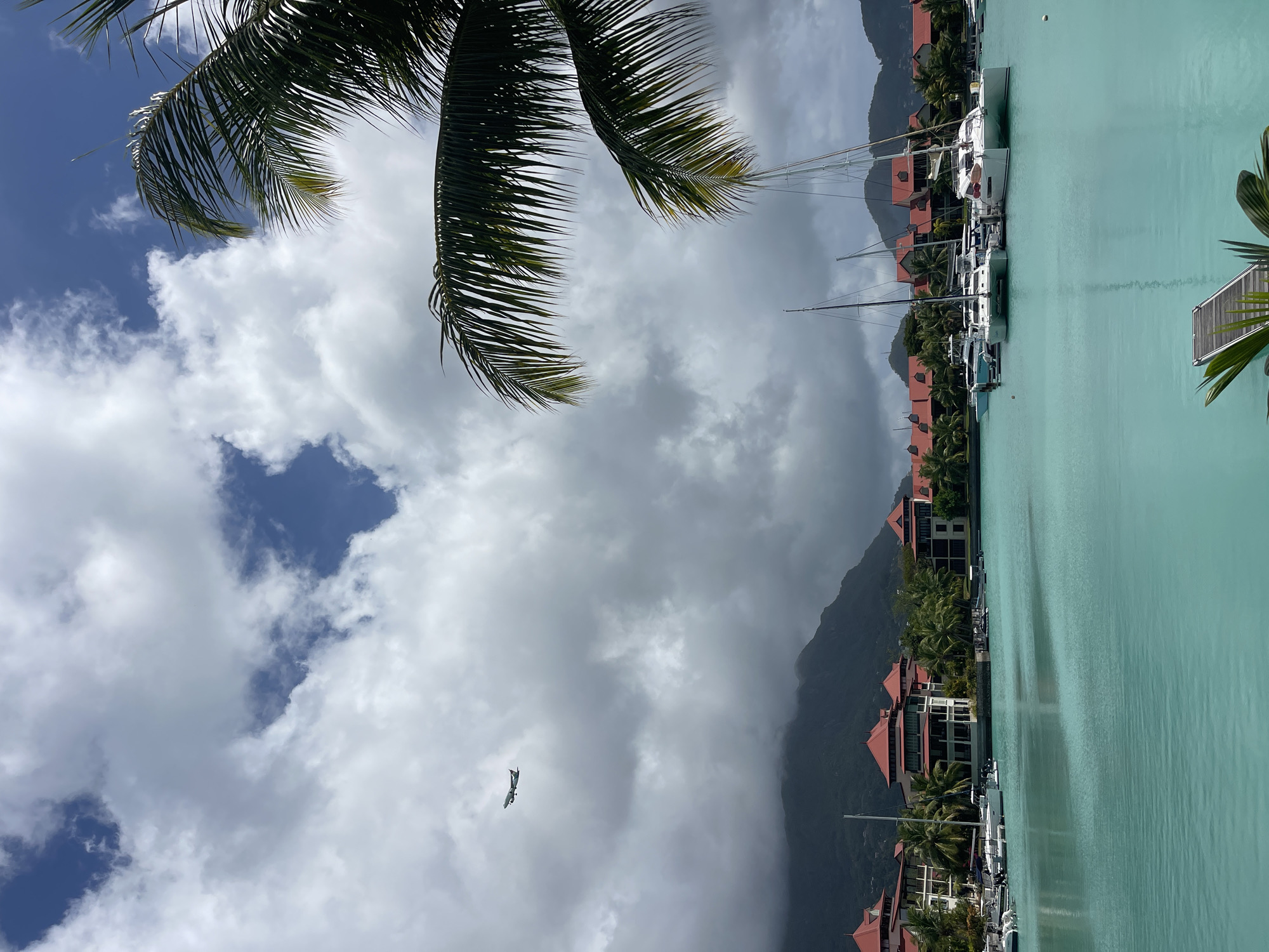 An aerial view of a tropical island marina shows the city of Providence, Seychelles, with calm, turquoise waters reflecting the sky. The foreground is dominated by lush green palm fronds, framing the scene. In the midground, a collection of white yachts and catamarans are docked, their masts reaching towards the sky. Behind the marina, a row of buildings with distinctive red-tiled roofs stretches along the waterfront, interspersed with palm trees. In the distance, mist-shrouded mountains rise, their slopes covered in dense greenery. An airplane is visible in the sky, ascending amidst a dramatic cloudscape of white cumulus formations against a blue sky. The overall impression is one of a serene and picturesque tropical paradise.