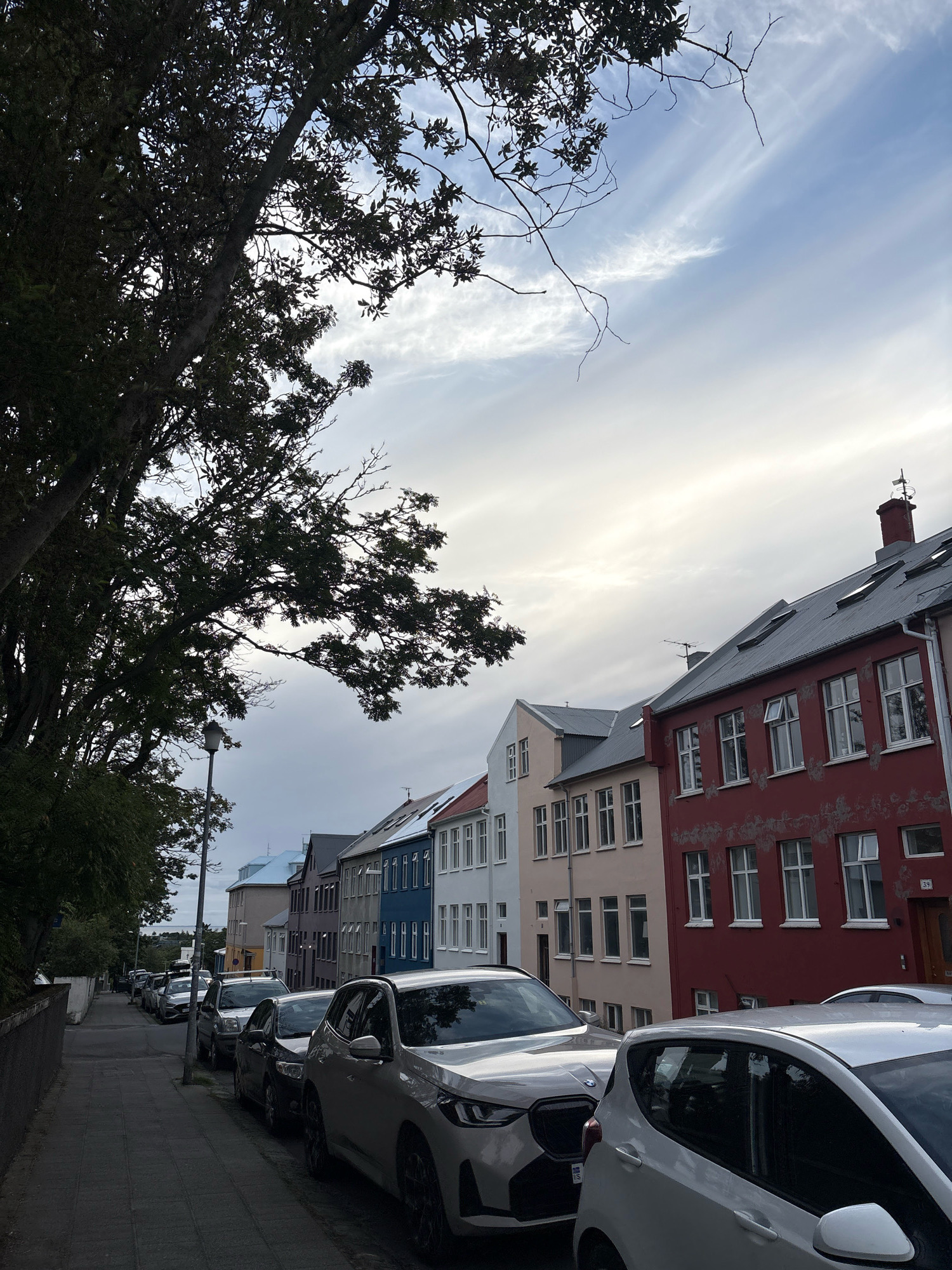 An outdoor, eye-level, medium shot captures a street scene in Reykjavik, Iceland. The image features a row of colorful buildings lining the right side of a sidewalk, with cars parked along the street. A large, silhouetted tree with dark leaves dominates the left side of the frame, with its branches extending towards the sky. The sky above is a mix of blue and white clouds, with a bright, hazy sun filtering through. The buildings are of varying heights and colors, including red, pink, white, blue, and gray. The street is paved with gray cobblestones, and the sidewalk is made of gray pavers. Several cars, including a white hatchback in the foreground, are parked along the curb. The overall impression is a quiet, picturesque street scene in an urban environment.