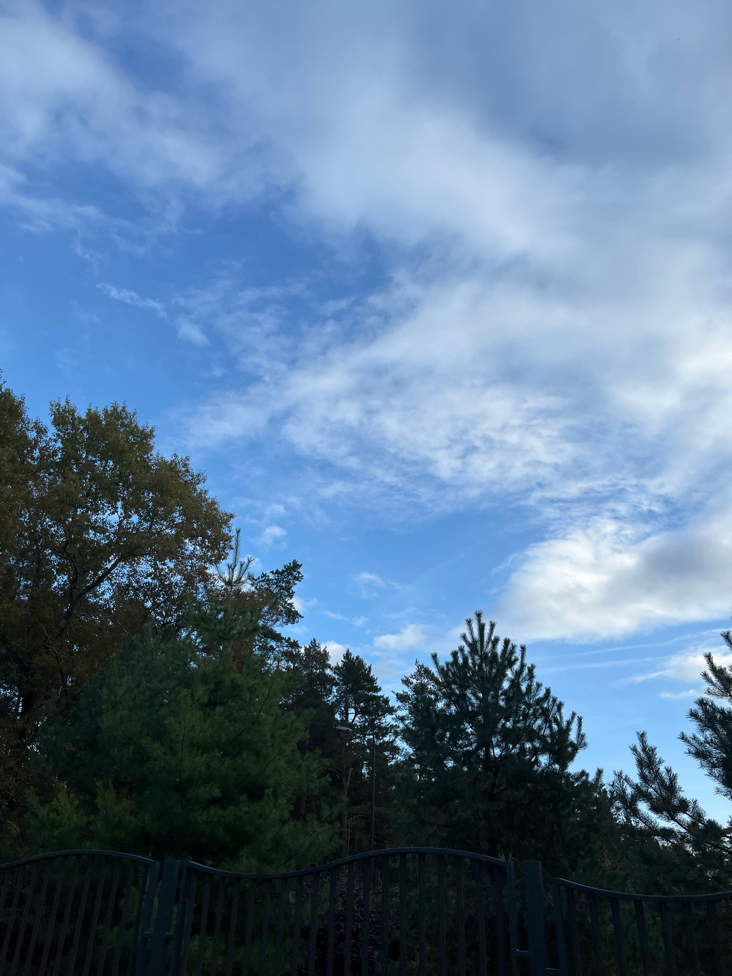 The image shows a clear blue sky with scattered white clouds. In the foreground, there is a dark metal fence. Behind the fence, a line of evergreen trees and some deciduous trees are visible. The deciduous trees have autumnal foliage in shades of brown and green. The overall scene appears to be outdoors, likely in a park or natural area. The location is Sestroretsk, Russia.