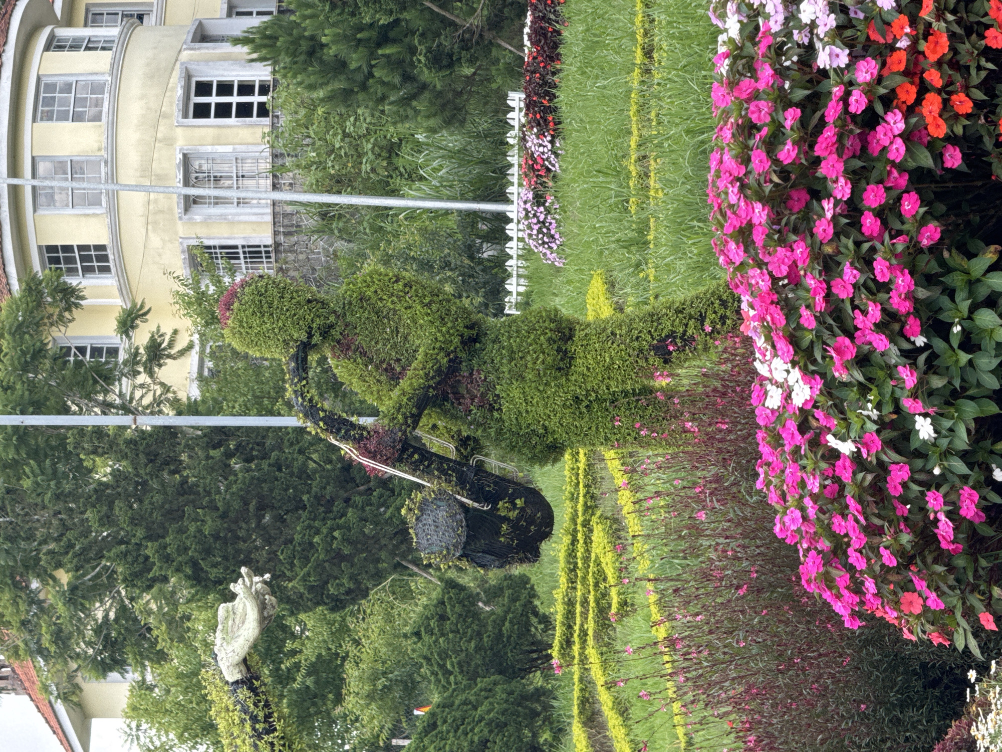 The image depicts a lush garden scene in Da Lat, Vietnam, featuring a topiary sculpture of a person playing a saxophone. The sculpture is meticulously crafted from dense green foliage, forming the shape of a musician with the instrument. Behind the sculpture, a large, yellow, circular building with white-trimmed windows and a red-tiled roof is visible, set against a backdrop of abundant greenery and trees. The foreground is adorned with a vibrant array of flowers in shades of pink, white, and red, interspersed with tall, dark green foliage. The garden appears well-maintained, with manicured hedges and pathways creating a structured yet natural landscape. The overall impression is one of a serene and artfully designed outdoor space, characteristic of Da Lat's floral attractions.