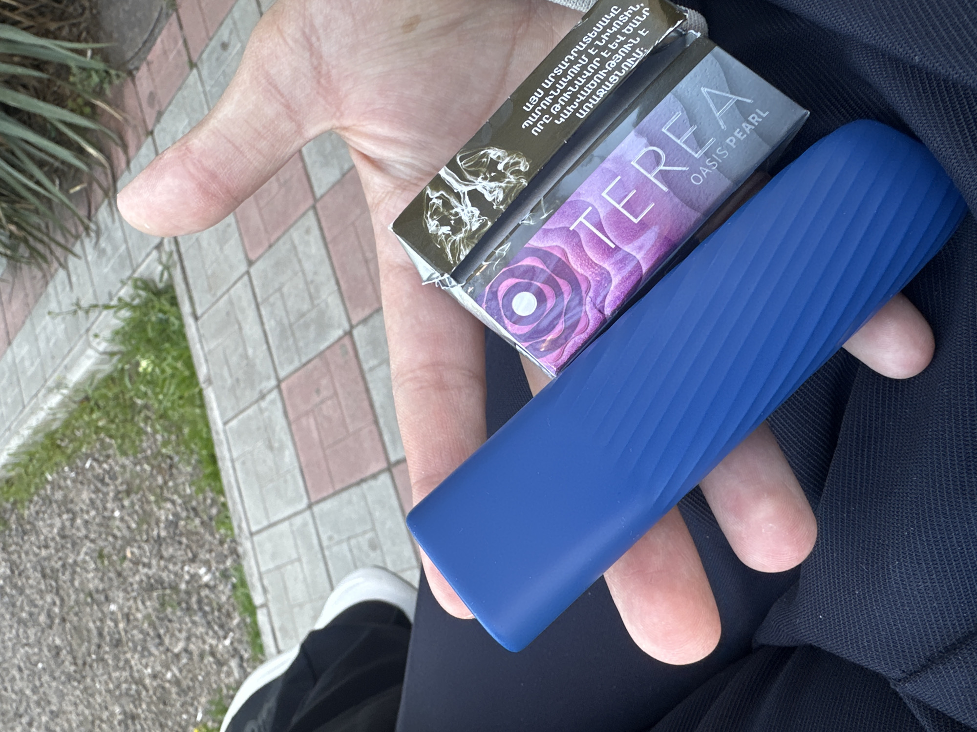 A hand holds a pack of Terea Oasis Pearl heatsticks and a blue IQOS device. The inscription on the heatsticks pack is in Armenian. The person is wearing dark blue pants and white sneakers. The background includes a sidewalk and some greenery. The image was taken in the city of Unknown, Unknown.