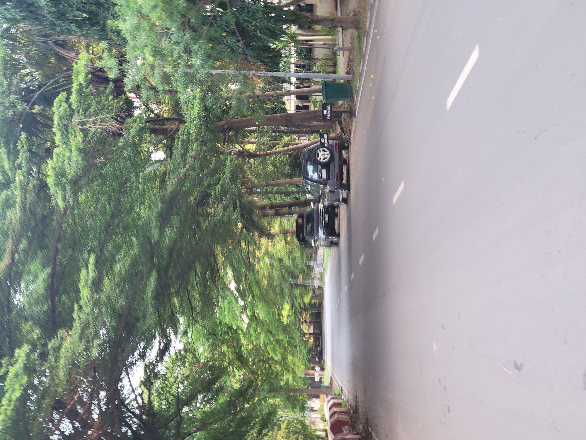 The image depicts a road lined with lush green trees in Abuja, Nigeria. Two black SUVs are parked on the side of the road. One SUV, on the right, has a "NO PARKING" sign placed in front of it. A green trash bin is situated next to the sign. The road is paved and marked with white dashed lines, indicating lanes. The trees form an archway over the road, creating a shaded canopy. In the background, buildings and more trees are visible. The overall scene suggests a well-maintained urban environment with abundant vegetation.