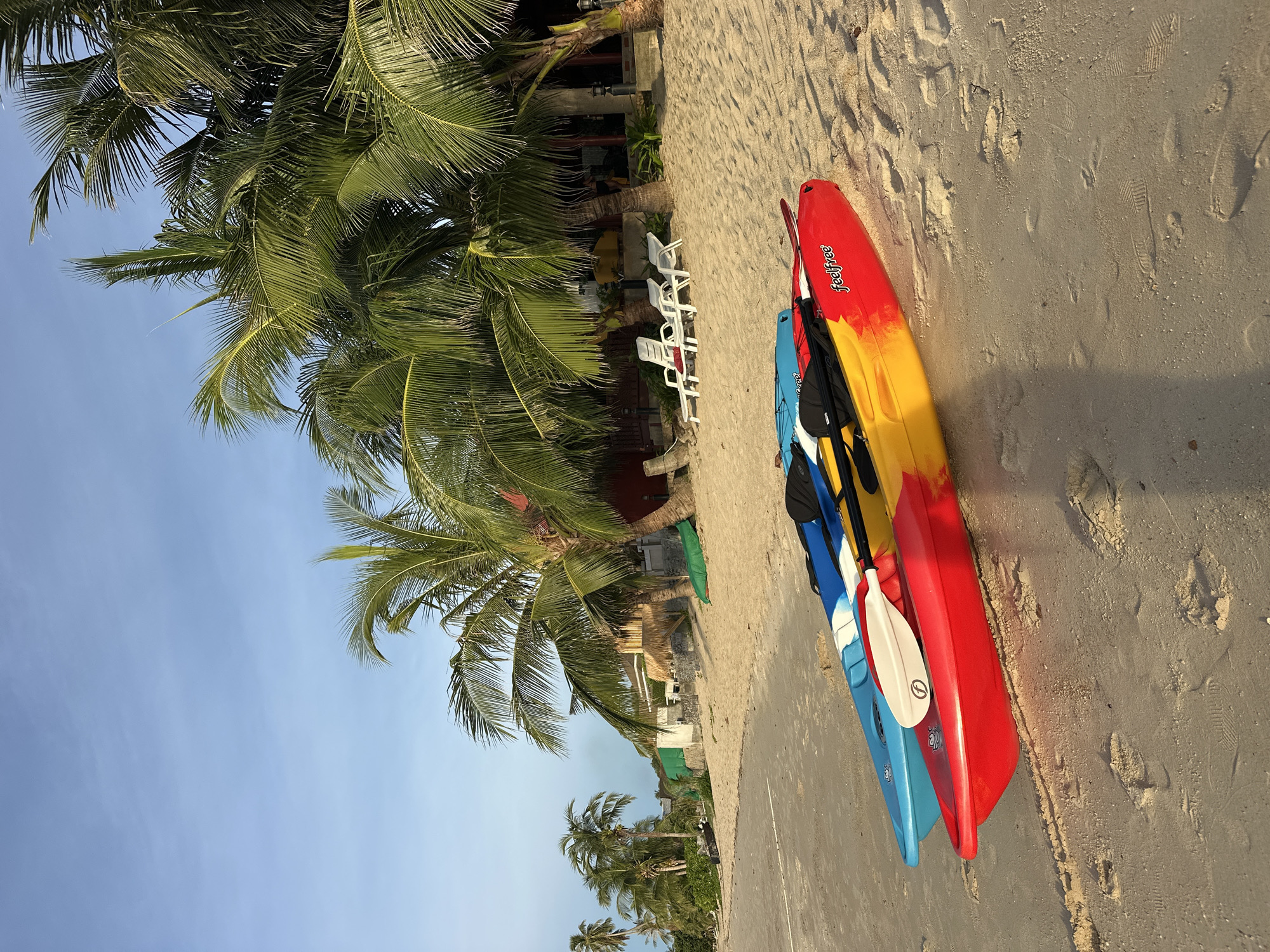 The image depicts a serene beach scene in Baan Thong Po, Thailand, likely during late afternoon or early evening due to the warm, angled sunlight casting shadows on the sand. Two kayaks, a red and yellow one on top and a blue one beneath, are resting on the sandy shore, with paddles tucked inside. The kayaks are positioned next to a line of white plastic beach chairs, some of which appear to be set up near a low building with a thatched roof and columns, hinting at a resort or beachfront establishment.
Towering palm trees with lush green fronds dominate the left side of the frame, their leaves rustling gently in the tropical breeze. The clear blue sky above suggests pleasant weather, ideal for outdoor activities. Footprints are visible in the sand, indicating recent human presence on the beach. The overall mood is peaceful and inviting, evoking a sense of relaxation and tropical escape.
The visible text on the red kayak reads "feelfree" in white lettering. The scene is devoid of people, but the presence of kayaks and chairs implies that visitors are either enjoying the water or preparing for an activity. The backdrop includes hints of other tropical vegetation and structures, further reinforcing the location as a beach resort in Thailand.
