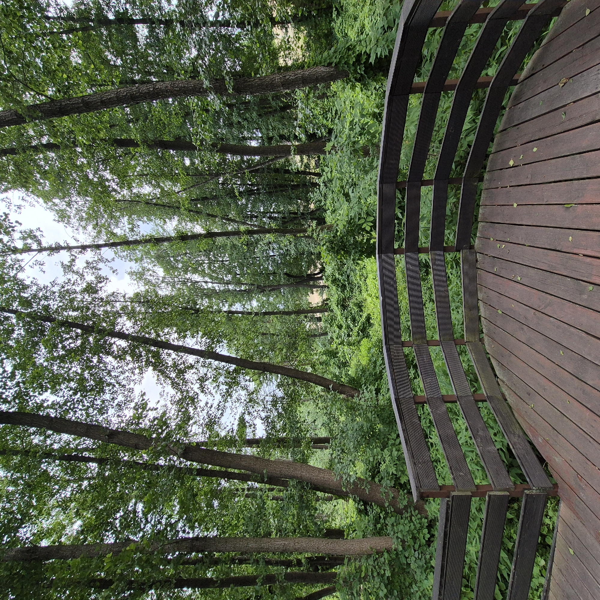 The image shows a wooden deck and railing overlooking a dense forest. The deck is made of weathered, dark brown planks, and the railing is constructed from dark brown wood with horizontal slats. The forest behind the railing is lush and green, with numerous trees and undergrowth. The lighting suggests an overcast day. The scene appears to be a park or recreational area within the city of Liski, Russia, likely a nature trail or overlook. There are no people visible in the image.