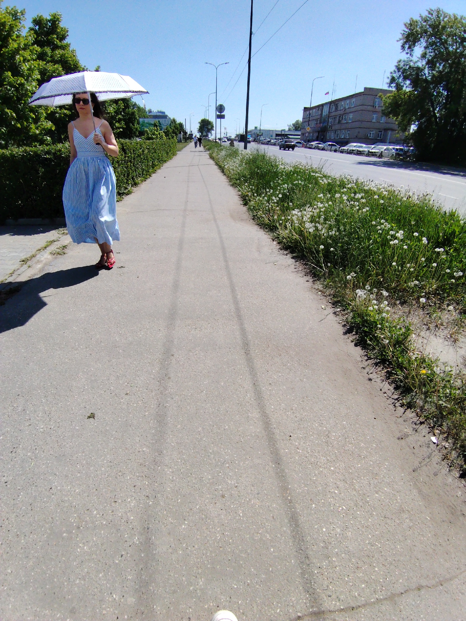 A woman is walking along a sidewalk in Chaikovsky, Russia. She is wearing a blue and white striped dress and red sandals and carrying a white umbrella. She is walking on the left side of a gray sidewalk that runs parallel to a busy street. The sidewalk is bordered by a green hedge on one side and a patch of grass and dandelions on the other. In the background, there is a multi-story building, cars parked along the street, and trees. Utility poles line the street. The sky is clear and blue. Two linear tyre-shaped traces can be seen on the pavement.