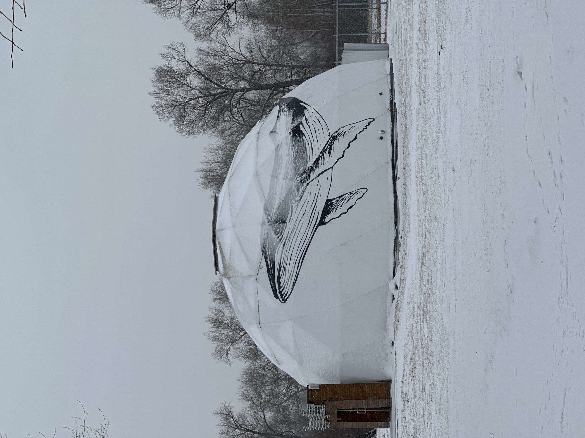 The image depicts a geodesic dome structure in a snowy outdoor environment. The dome is white and features a large black and white graphic of a whale painted on its side. A small wooden structure is attached to the base of the dome. Bare trees are visible in the background, and the sky is overcast. The ground is covered in snow. Based on location information, this is likely the Raduga Park planetarium in Krasnoyarsk, Russia.