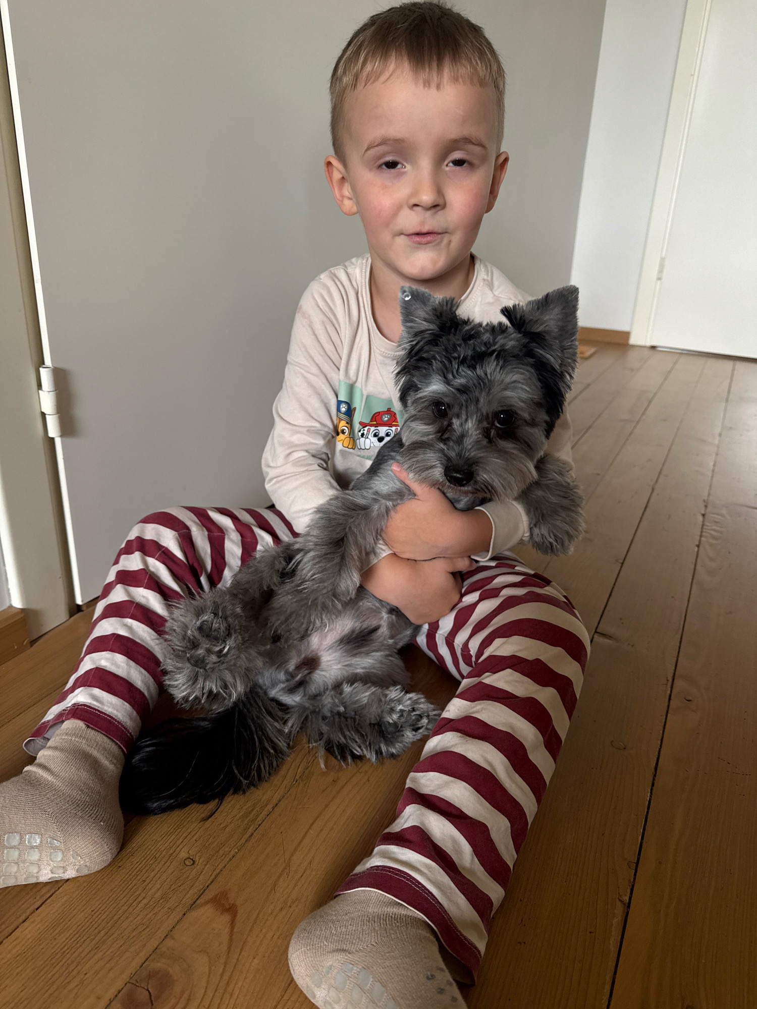 A young boy with blonde hair is sitting on a wooden floor, holding a small, gray dog. He is wearing a light-colored long-sleeved shirt with a cartoon print and red and white striped pajama pants. The dog, a Yorkshire Terrier or similar breed, is resting in his arms, facing the camera. The background consists of a light-colored wall and a white door. The image appears to be taken indoors, in what looks like a residential setting. There is no discernible indication of the location being in Chaikovsky, Russia.
