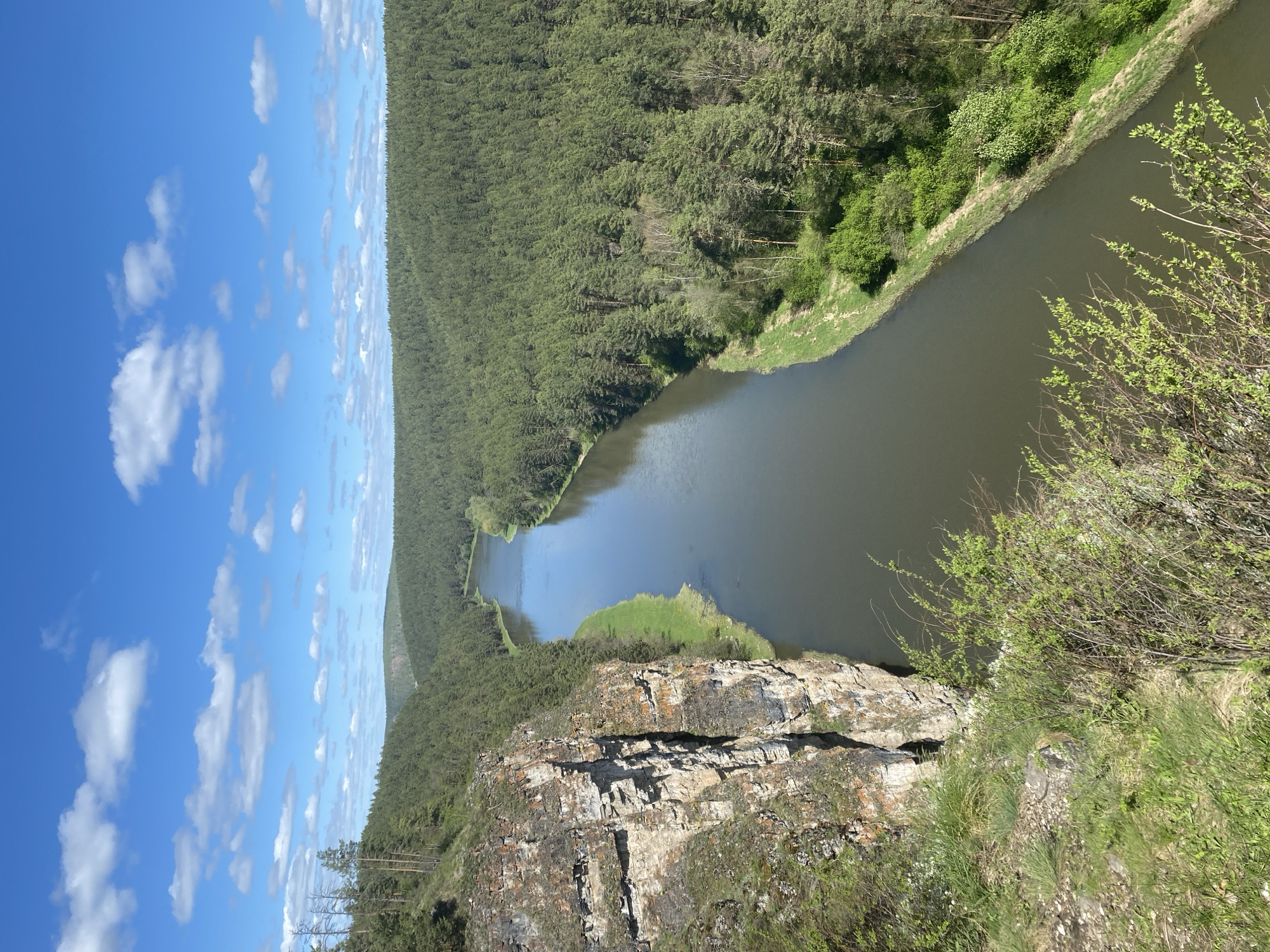 The image shows a river valley near Alekseevka, Russia. A wide, dark-colored river flows between steep, forested banks. The river makes a gentle curve. The left bank is dominated by a dense forest of coniferous trees. The right bank has a mix of trees and grassy areas. In the foreground, a rocky cliff overlooks the river. The sky is blue with scattered white clouds.