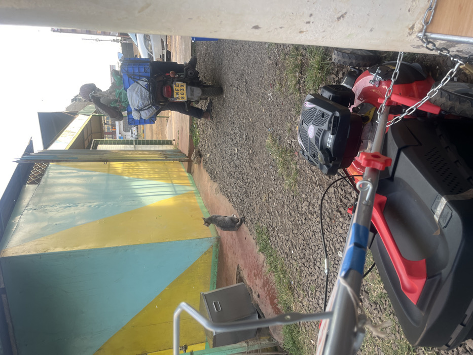 A gray cat sits on a concrete path in front of a blue and yellow wall. A man on a motorcycle heavily laden with blue crates and packages rides past. A lawnmower with a red engine sits in the foreground, partially obstructing the view. The scene is outdoors with gravel ground and partial building views.