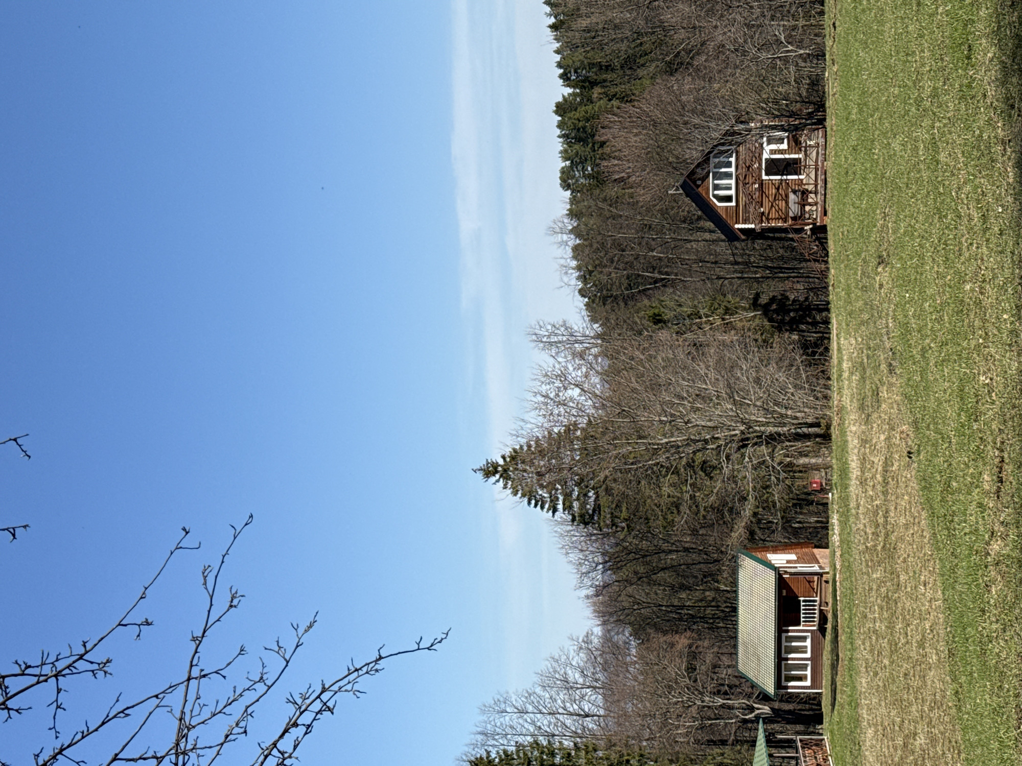 The image shows a rural scene with two wooden houses situated next to a forest and a grassy field. The sky is clear and blue. The location is potentially Galevo, Russia. Details of people or specific actions are not visible. The environment consists of trees in the early spring with bare branches, houses, and grass.