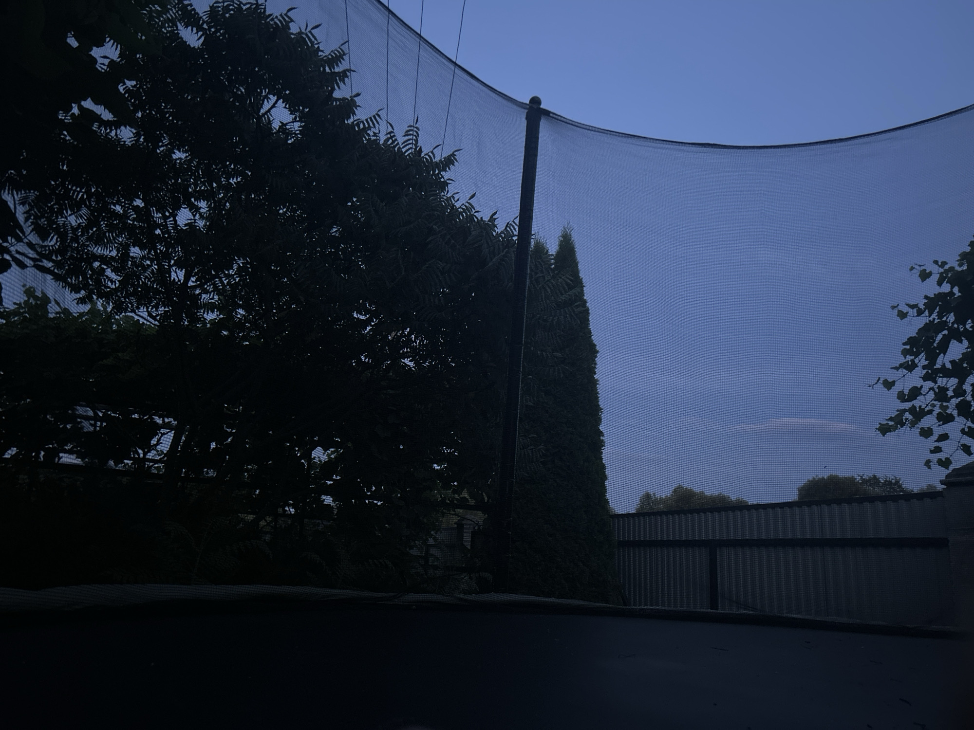 The image depicts an outdoor scene at dusk or dawn, likely in Yizhivtsi, Ukraine. The foreground shows the dark, padded edge of a trampoline. The middle ground is dominated by a safety net enclosure, through which trees and vegetation are visible. To the left, dark, dense foliage of a tree obscures much of the view. In the center, a tall, slender evergreen tree stands out. Beyond the trees, a dark, corrugated metal fence runs horizontally across the scene. The background features a clear, deep blue sky with a faint, elongated cloud formation. The overall lighting suggests low light conditions. No people or animals are present.