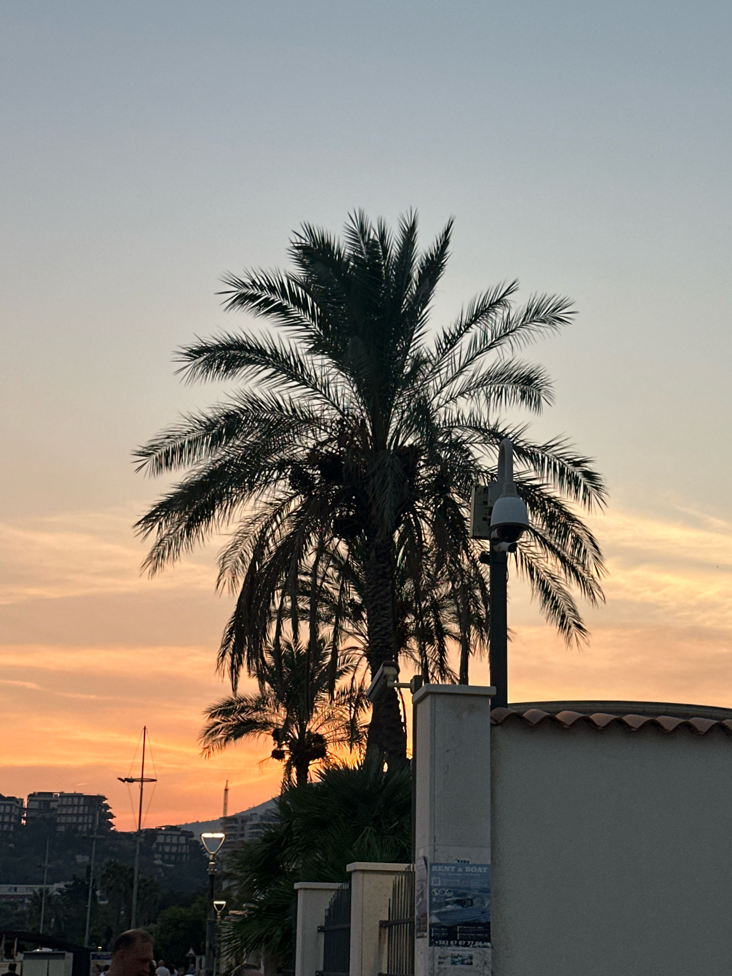 A silhouette of a large palm tree stands against a pale orange and grey sky at dusk. Behind the palm tree, several smaller palm trees are visible. In the background, there are buildings and hills, as well as a mast of a sailboat. A security camera is mounted on a pole to the right of the palm tree. A wall with a red tiled roof is in the foreground. The overall scene suggests a coastal location, possibly in Boreti, Montenegro, during sunset.