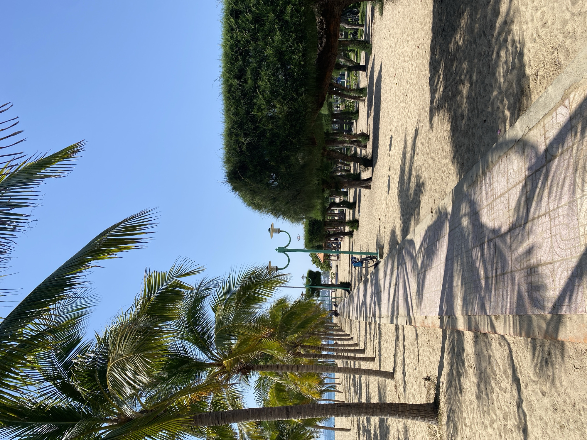 The image depicts a sunny day on a sandy beach promenade in Nha Trang, Vietnam. A tiled walkway runs parallel to a line of palm trees on the left, casting long shadows across the sand and path. Beyond the palm trees, a glimpse of the ocean is visible. On the right side of the walkway, a row of immaculately pruned trees with dense, green foliage forms a sharp contrast to the natural shapes of the palm trees. Several streetlights, painted green, are spaced along the walkway. A bicycle is parked near one of these lights. In the distance, a few figures can be seen walking or cycling along the path. The sky is a clear, bright blue.